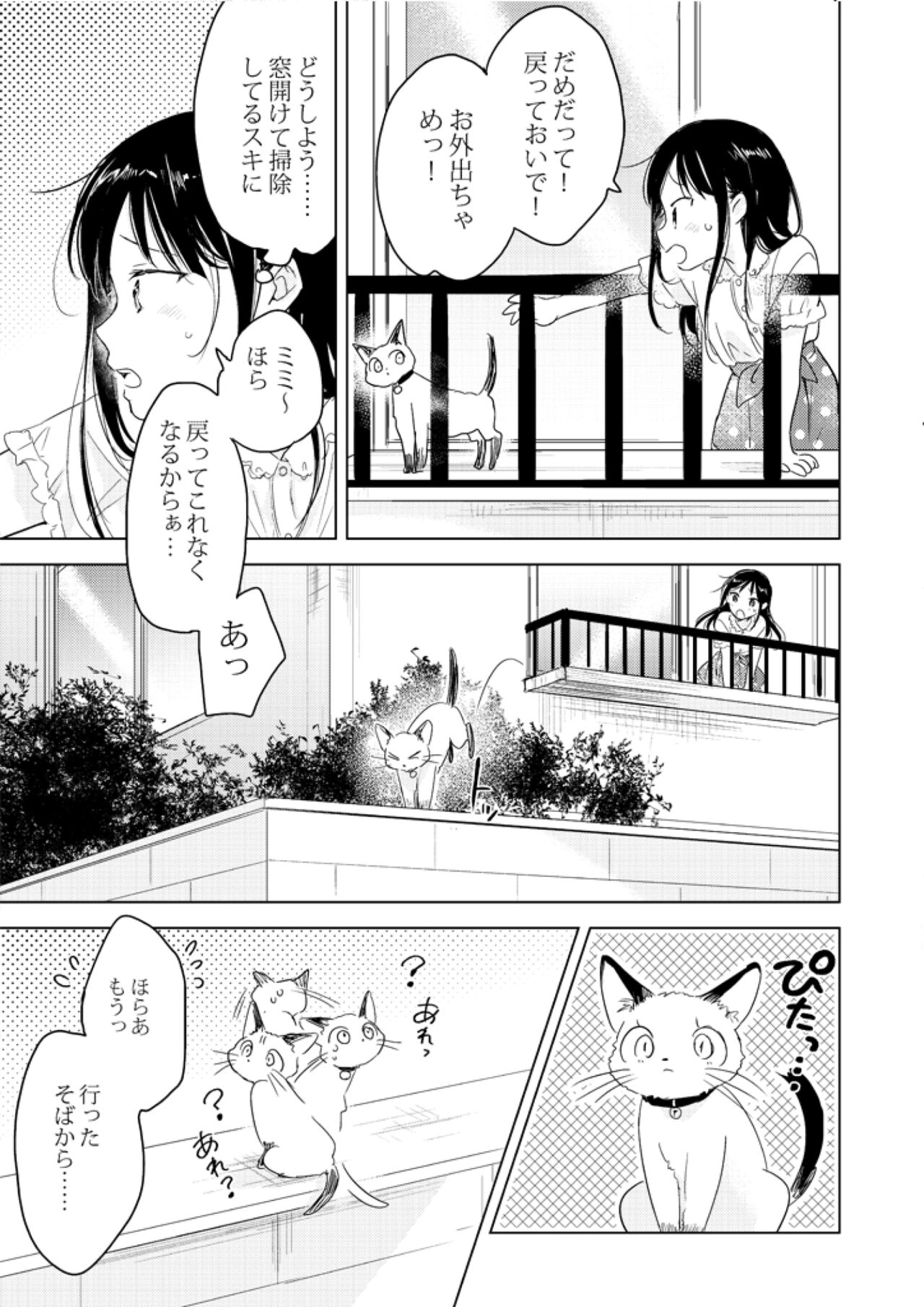 Neko wa Ongaeshi nado Shinai. page 7 full