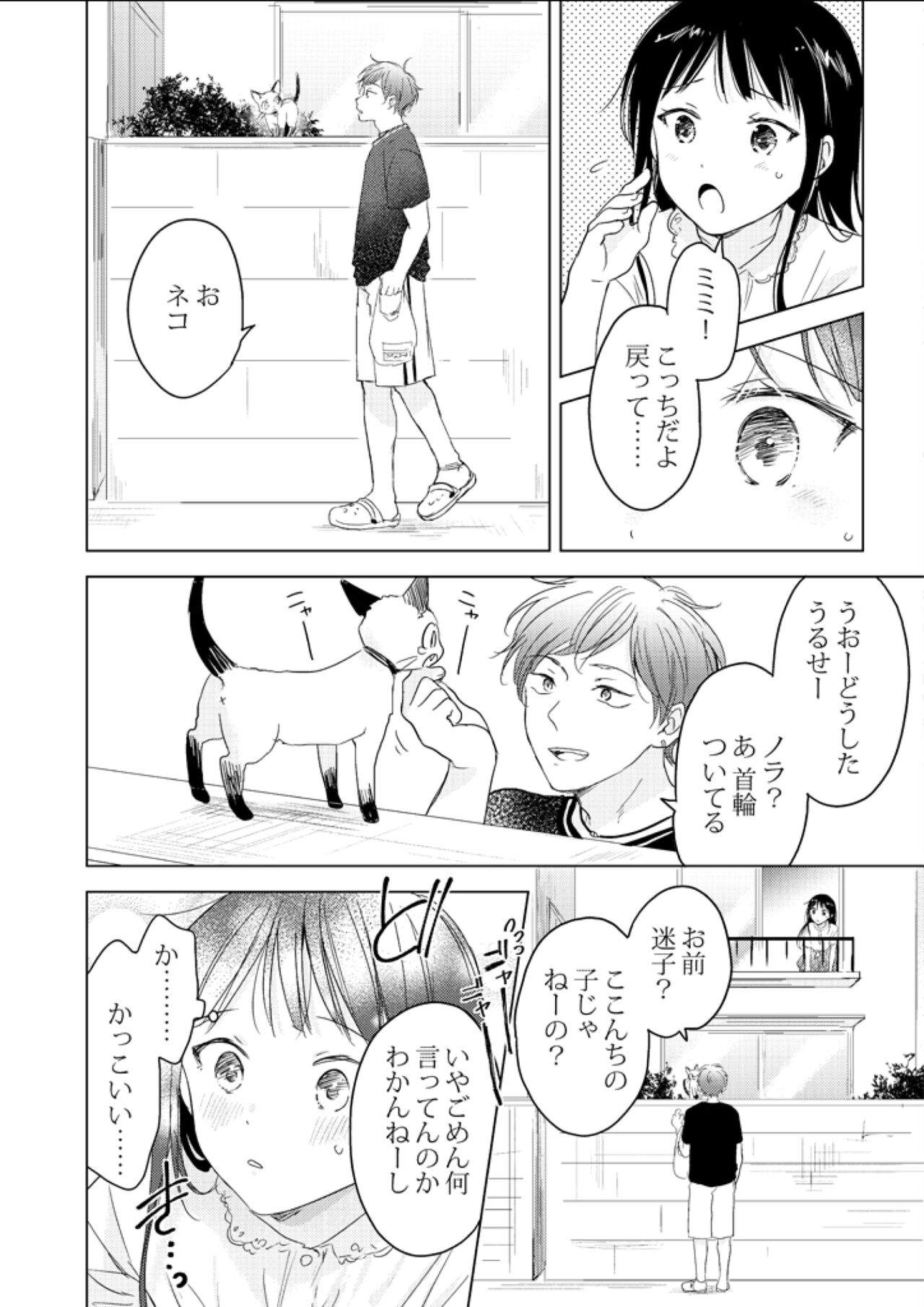 Neko wa Ongaeshi nado Shinai. page 8 full