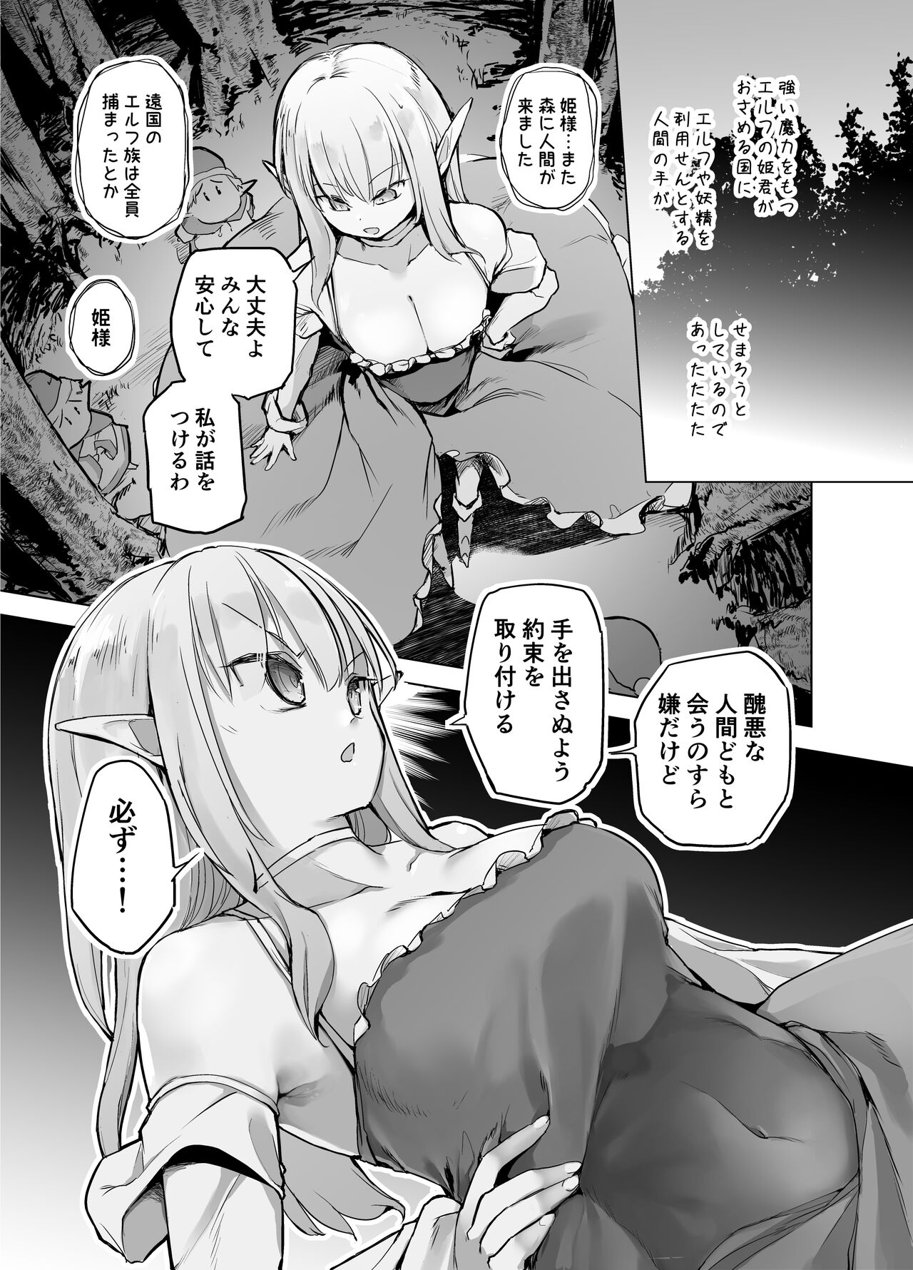 Elf no Hime no Hokori ni Kakete Taemasu! page 3 full