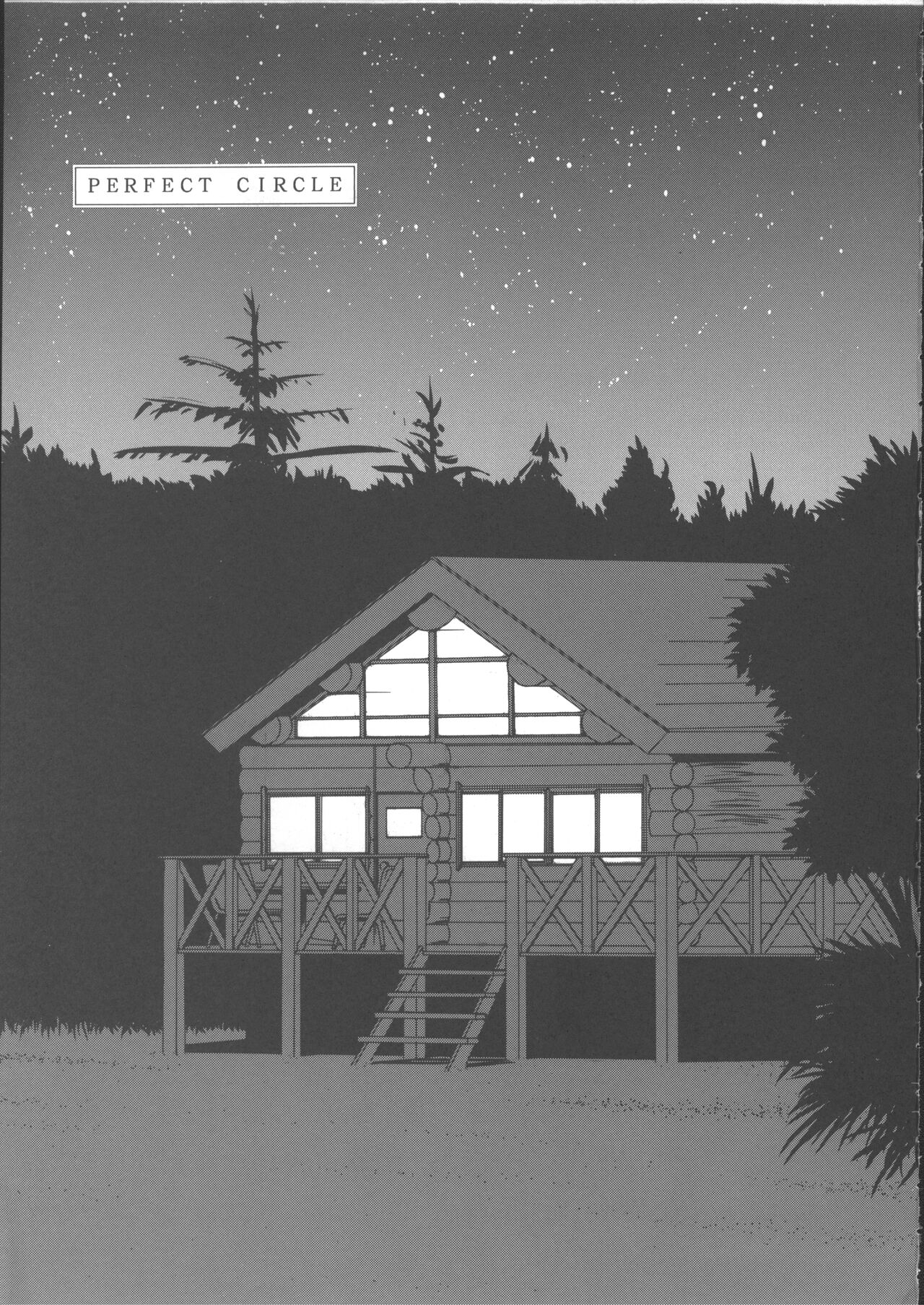 PERFECT CIRCLE page 4 full