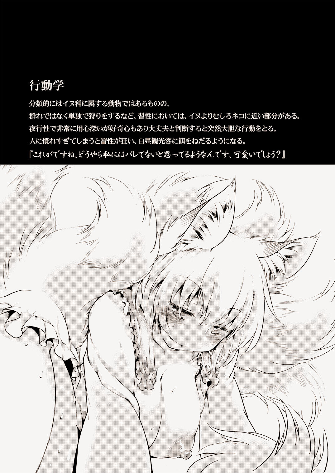 WILD ANIMALS page 3 full