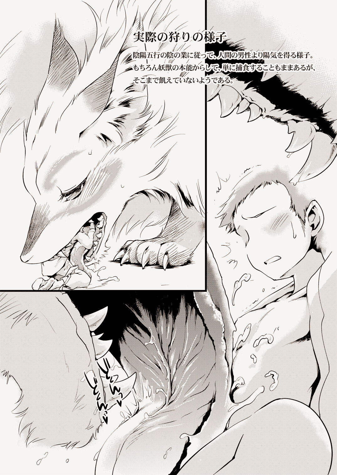 WILD ANIMALS page 8 full