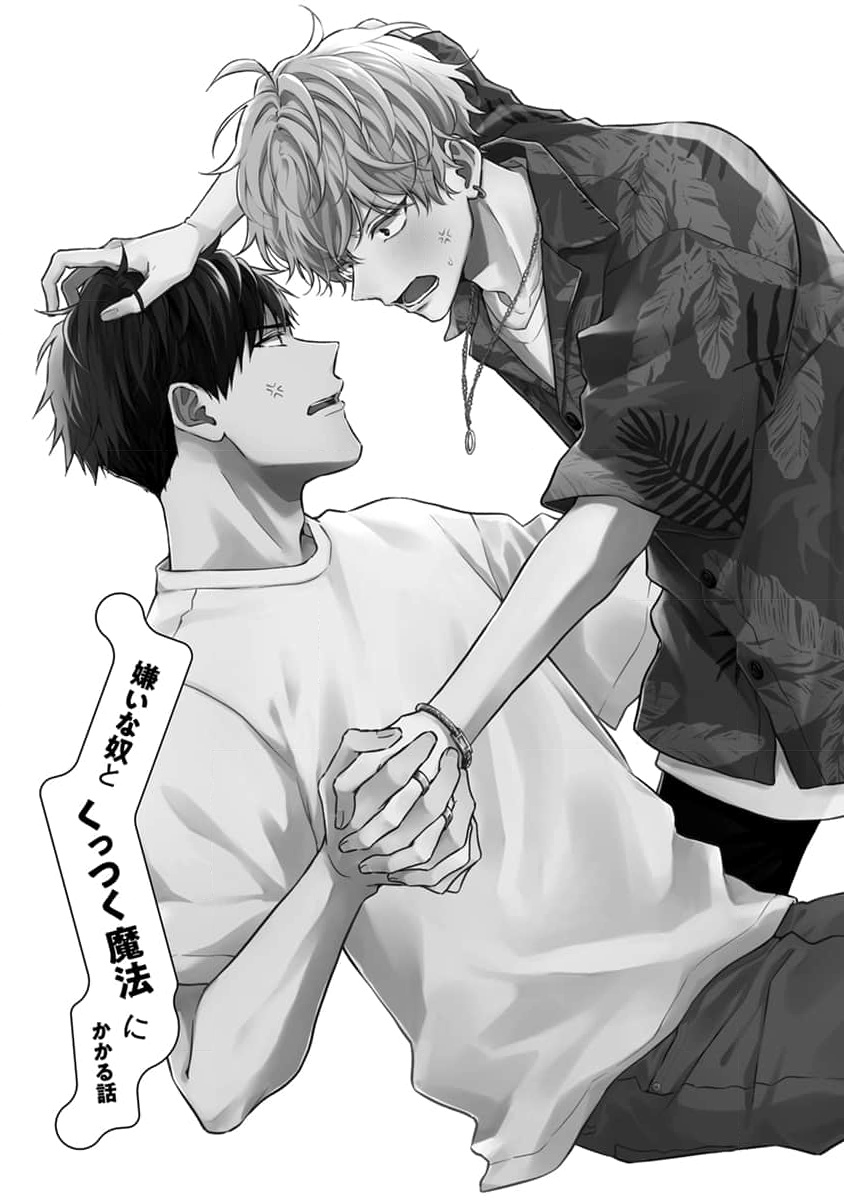 Kirai na Yatsu to Kuttsuku Mahou ni Kakaru Hanashi page 7 full