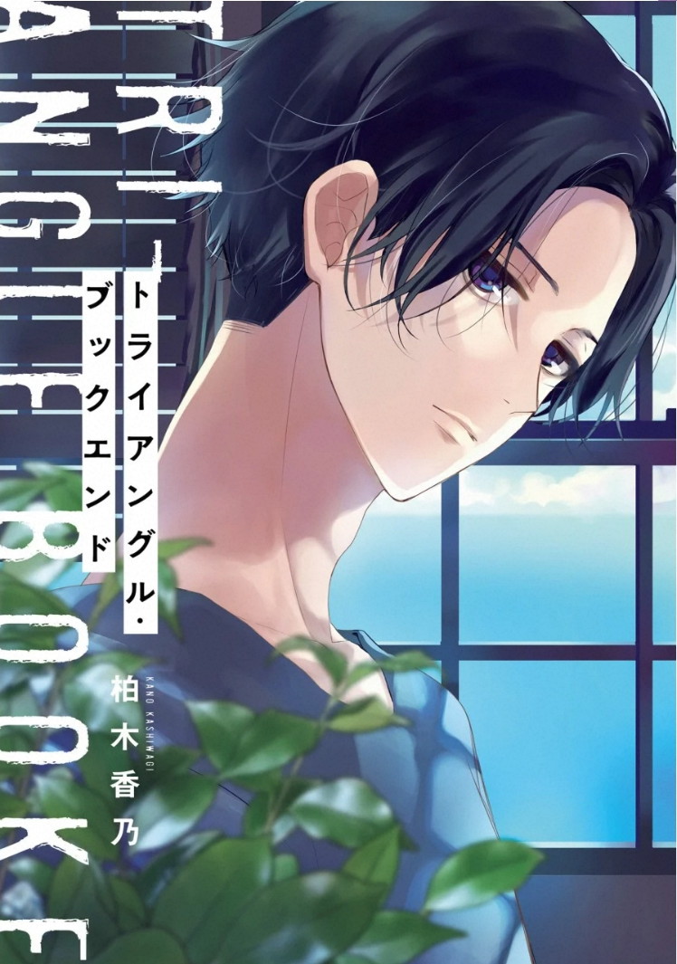 Triangle Bookend page 3 full