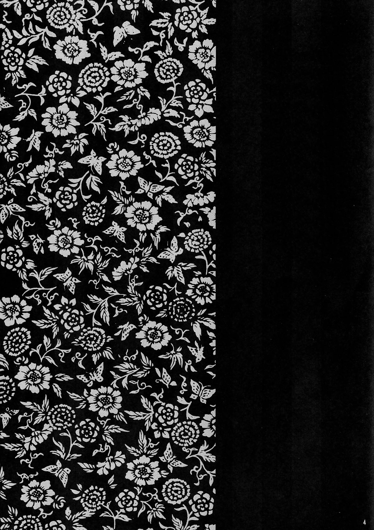 INU/AO Preface page 3 full