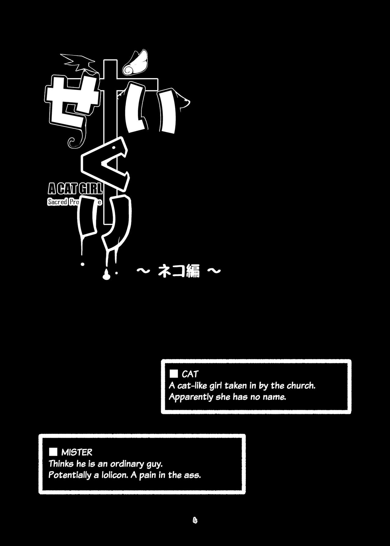 Seikuri Neko Hen - A Cat Girl Sacred Prostitute page 4 full