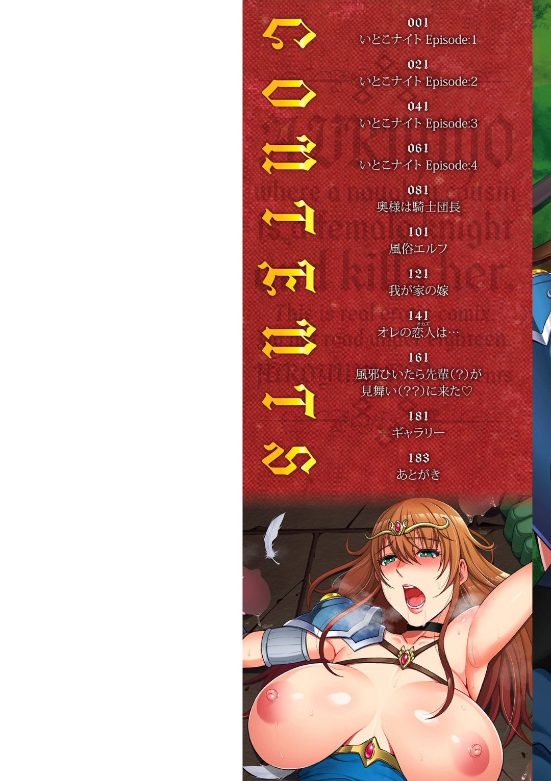 Ecchi na Itoko ga Onna Kishi de Kukkoro na VRMMO ki page 2 full