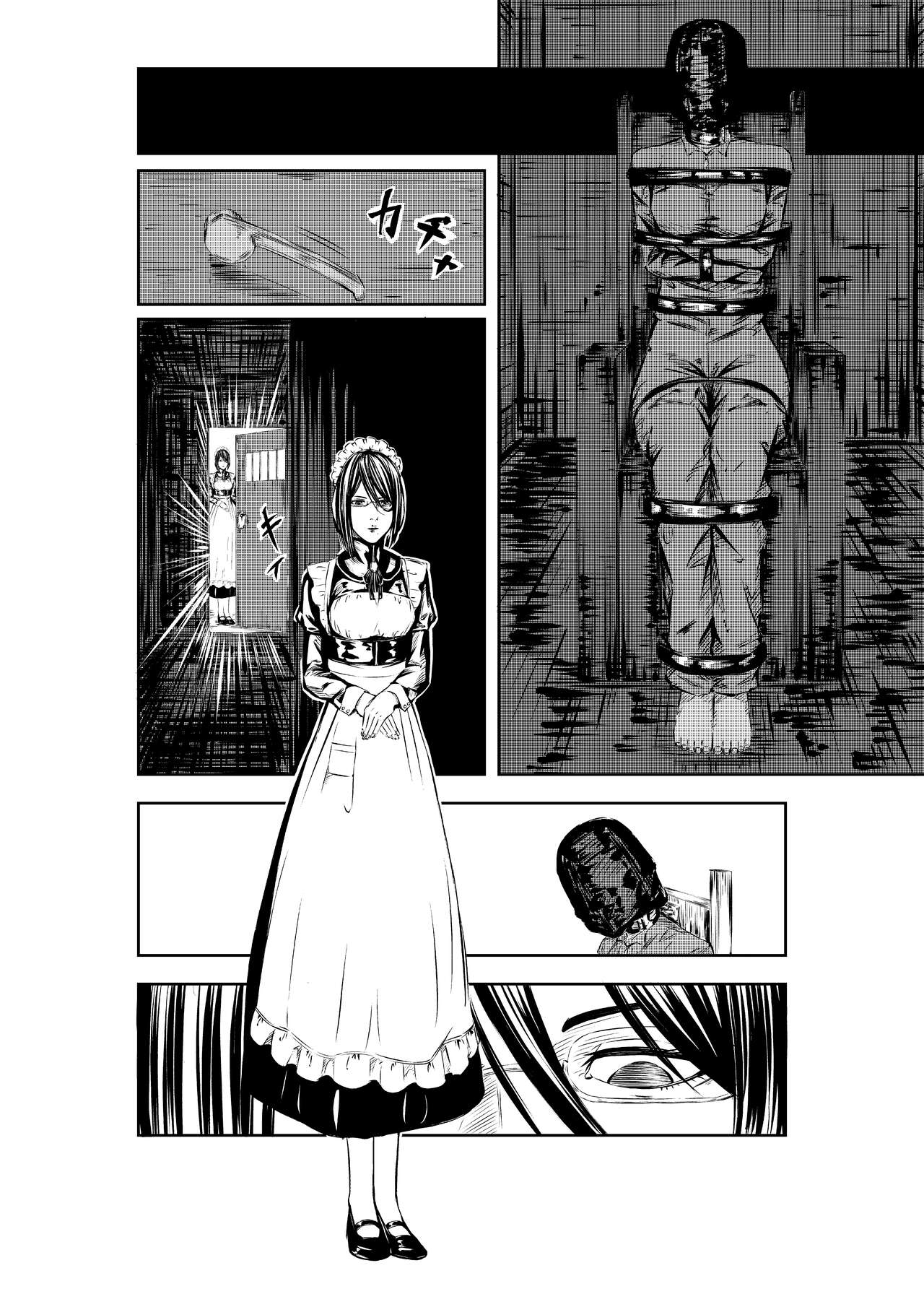 M.A.I.D.S System page 5 full