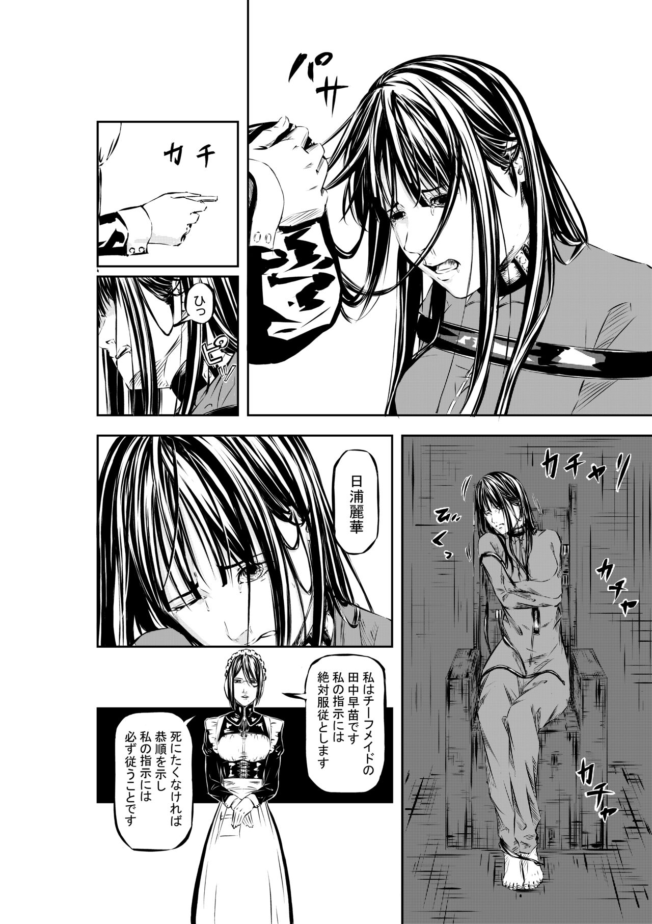 M.A.I.D.S System page 7 full