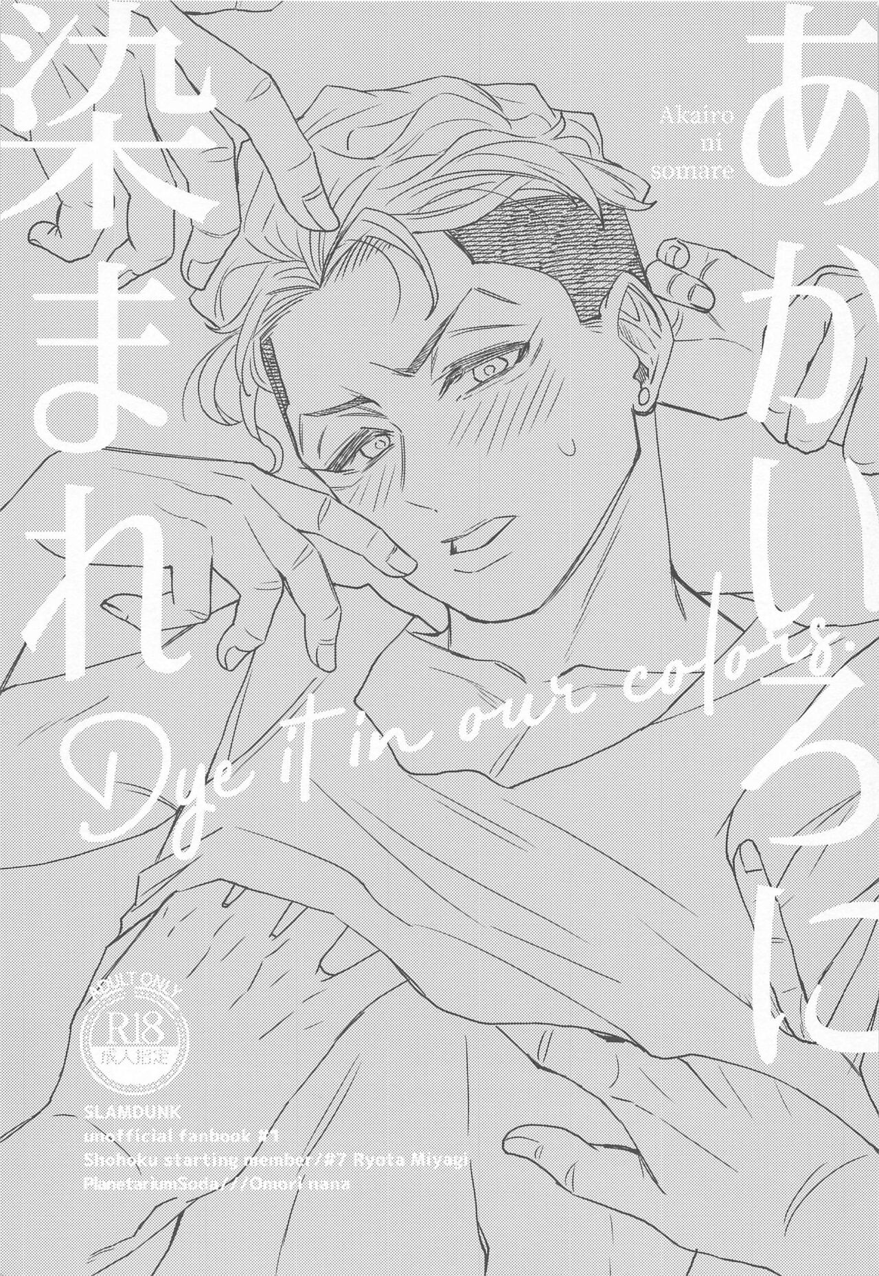 Akairo ni Somare page 2 full