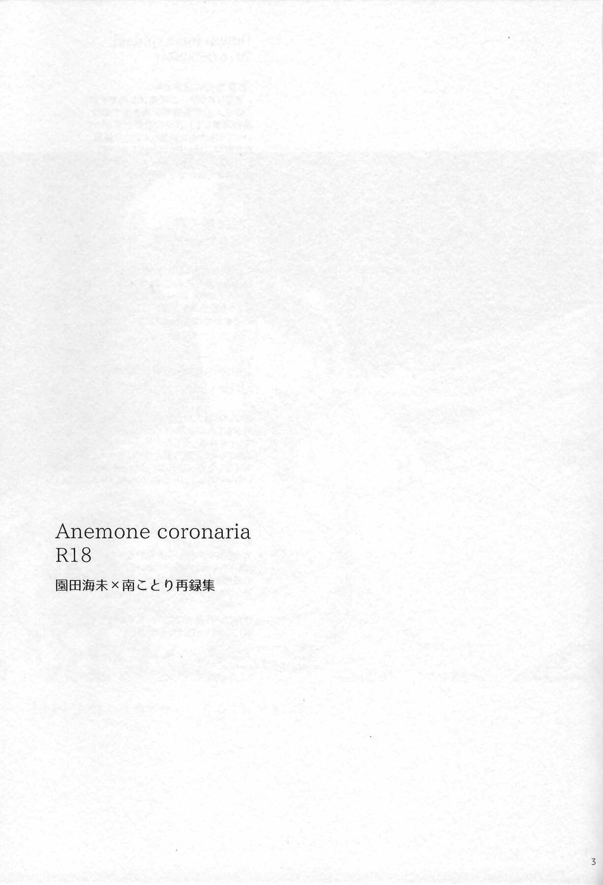 Anemone coronaria page 2 full