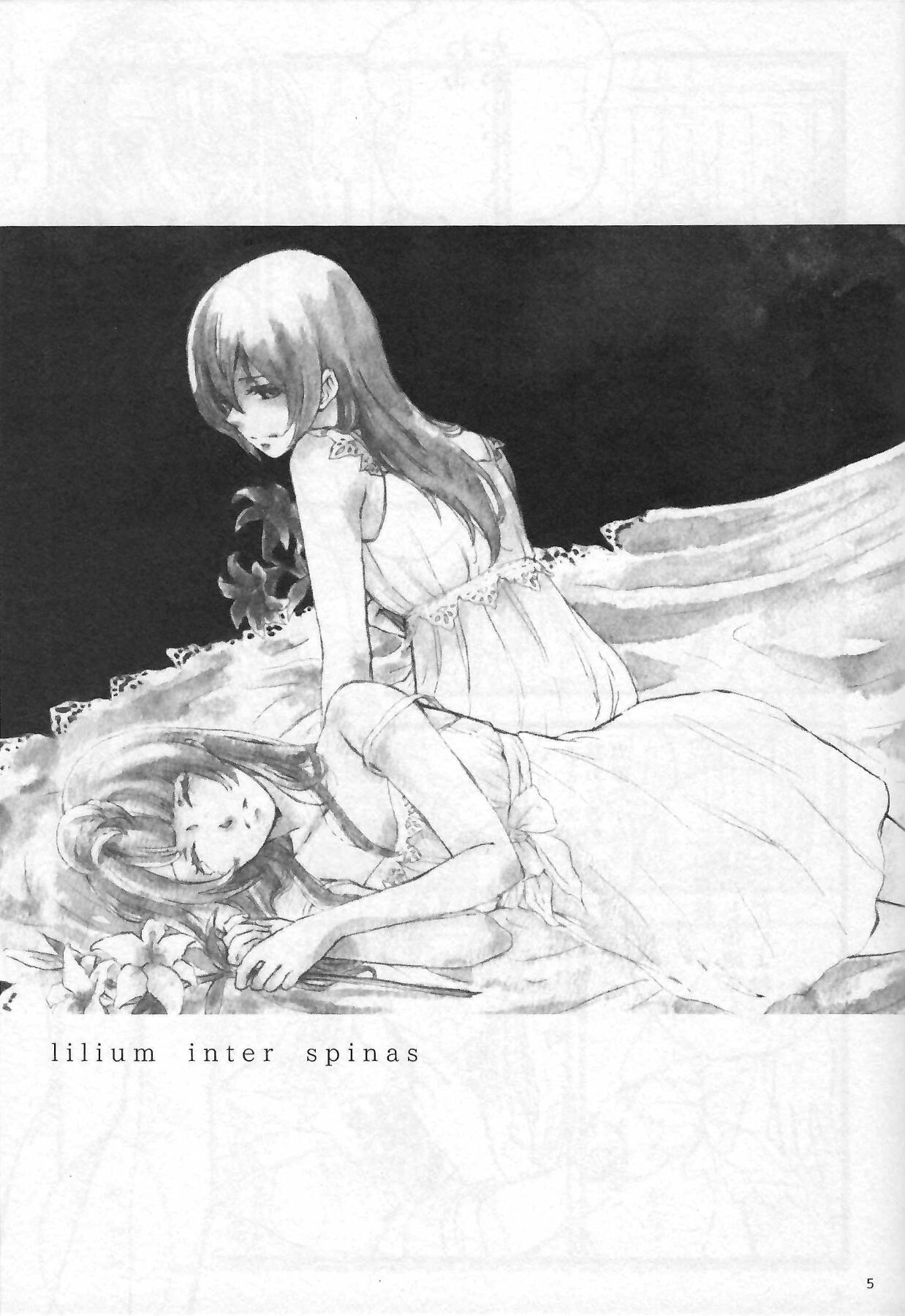 Anemone coronaria page 4 full