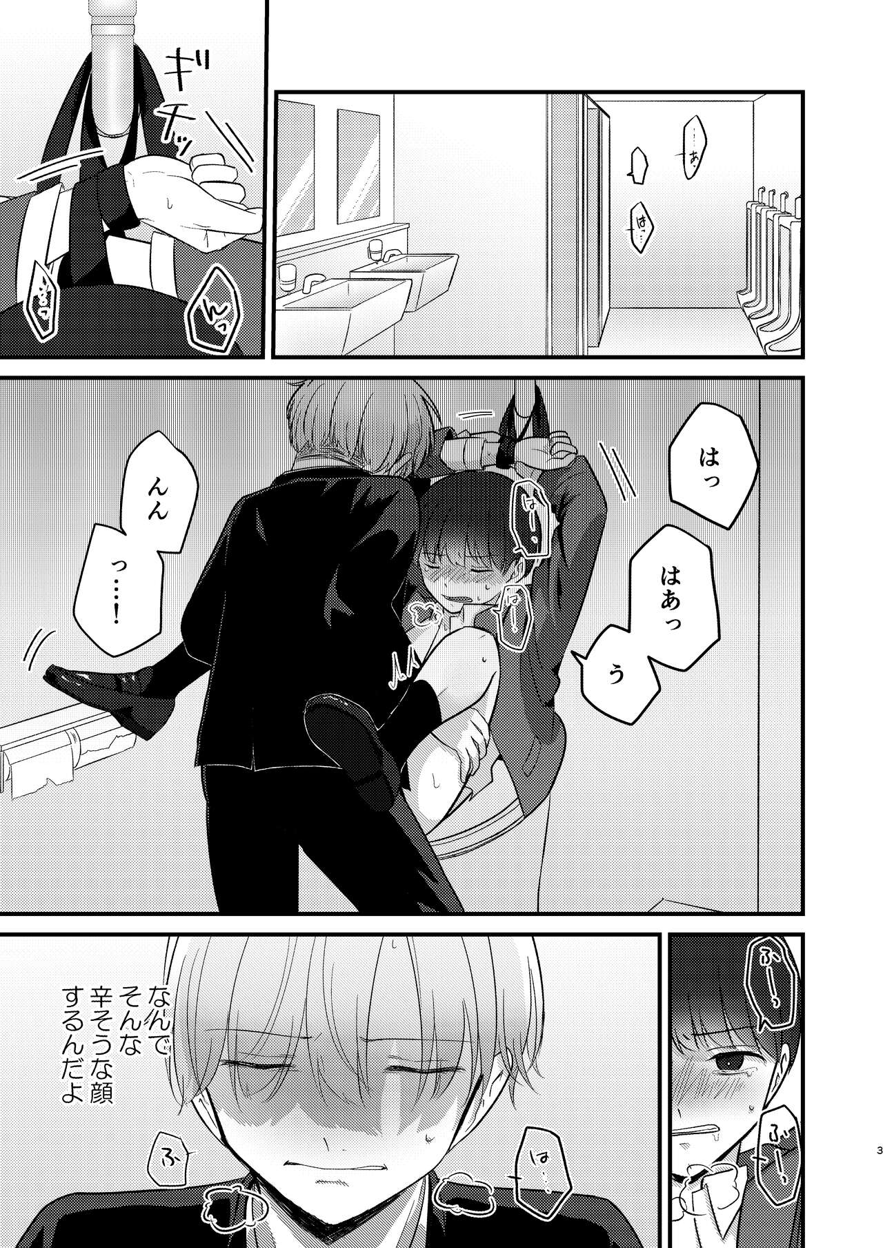 Caryopteris page 3 full