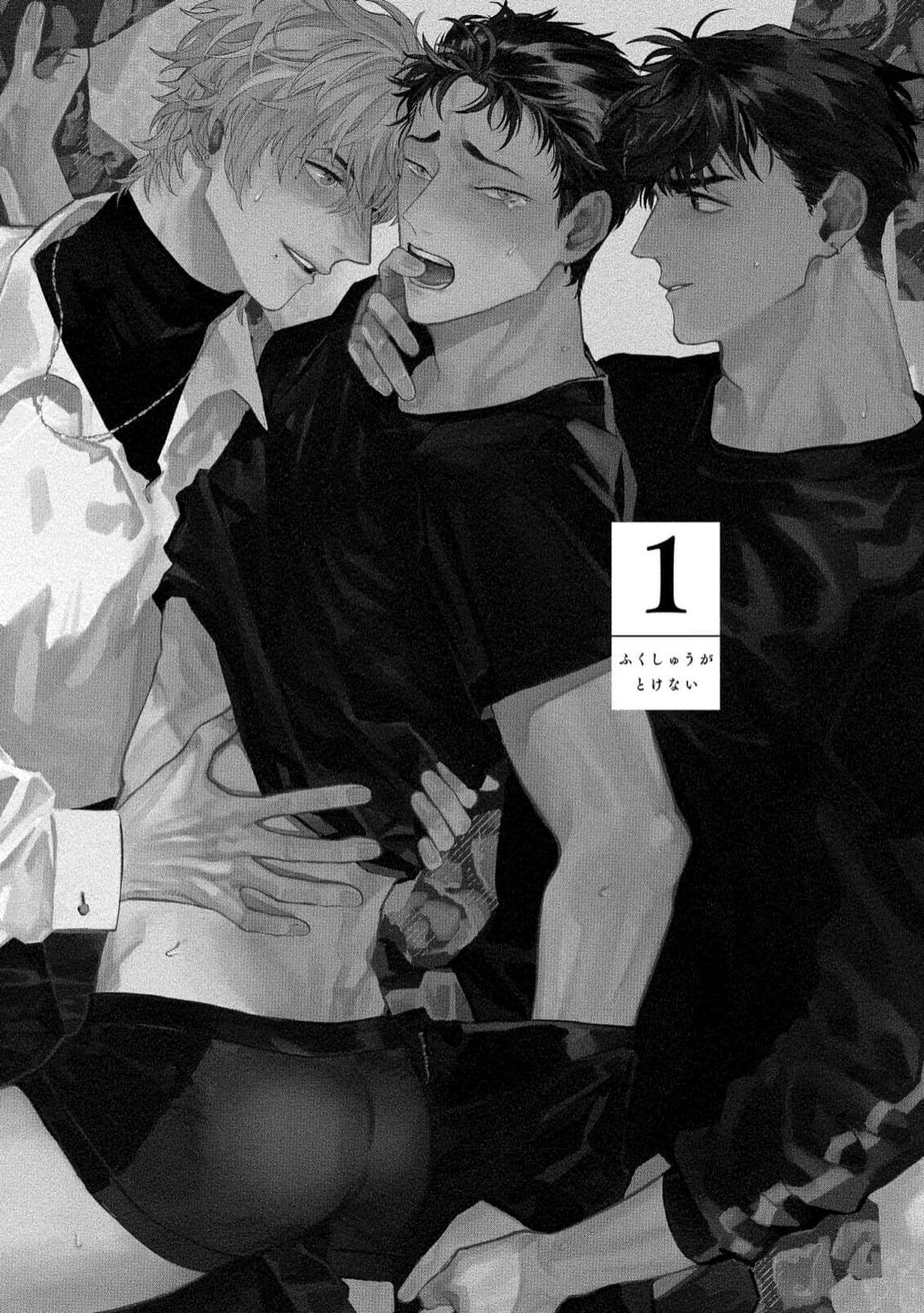 Fukushuu ga Tokenai page 5 full