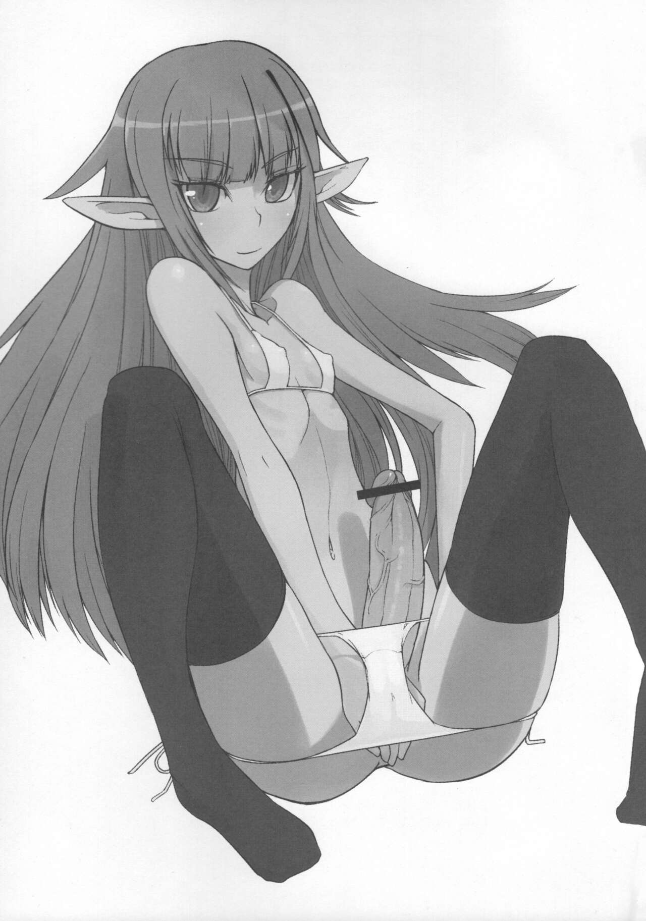 Elf no Kuni e no Ryuugakuki page 2 full