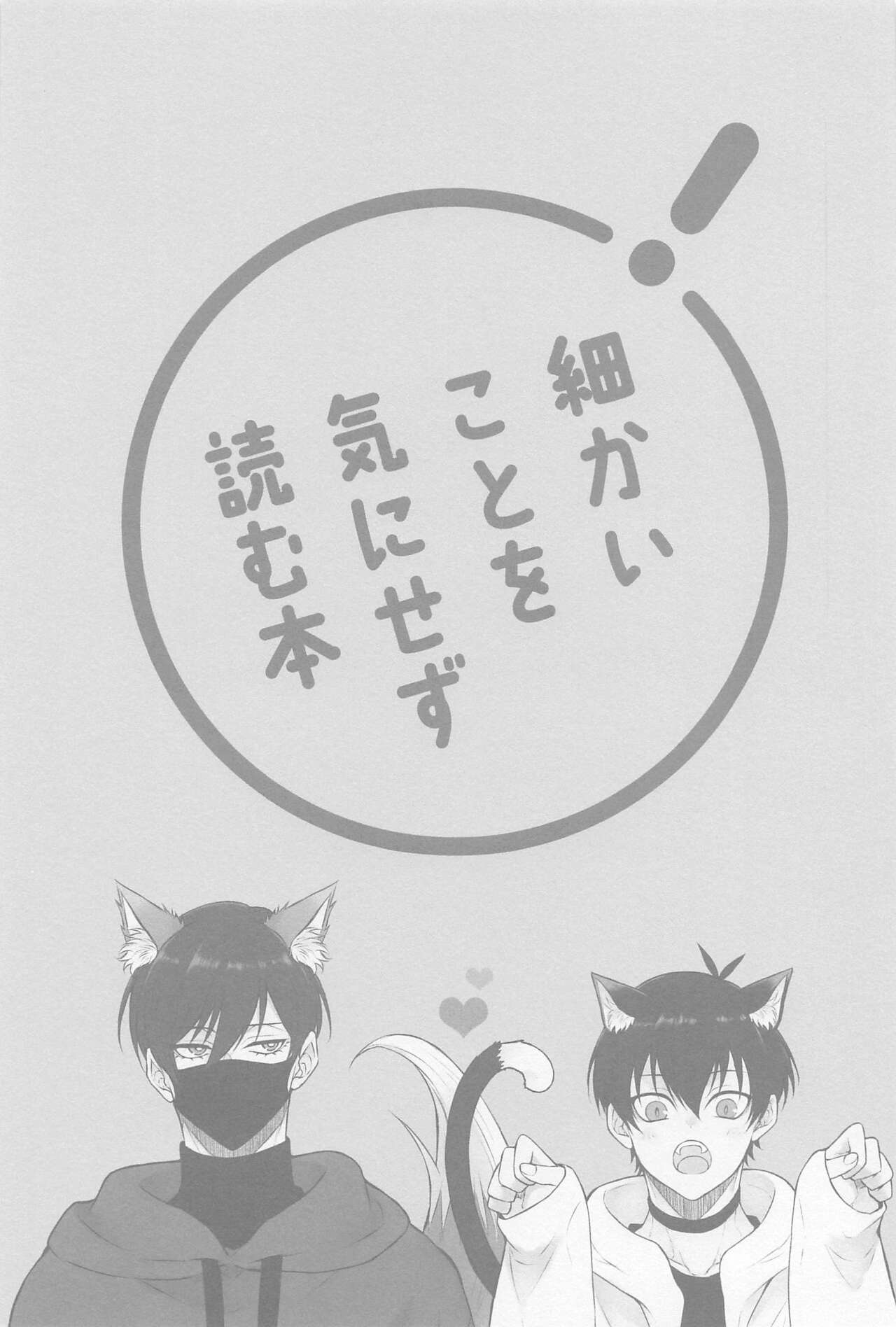 RINISA VARIETY PACK page 2 full