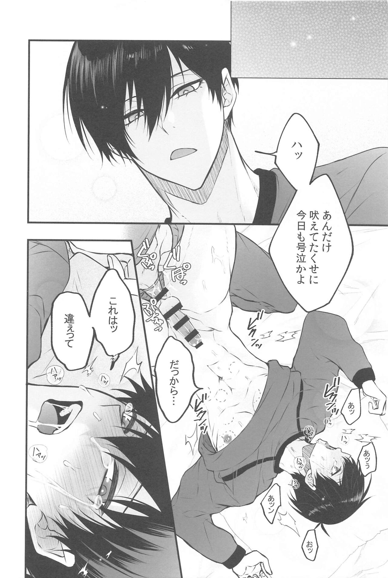 RINISA VARIETY PACK page 7 full