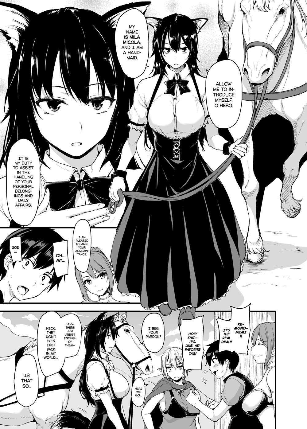 Tales of a Harem in Another World Hentai - Raw  55