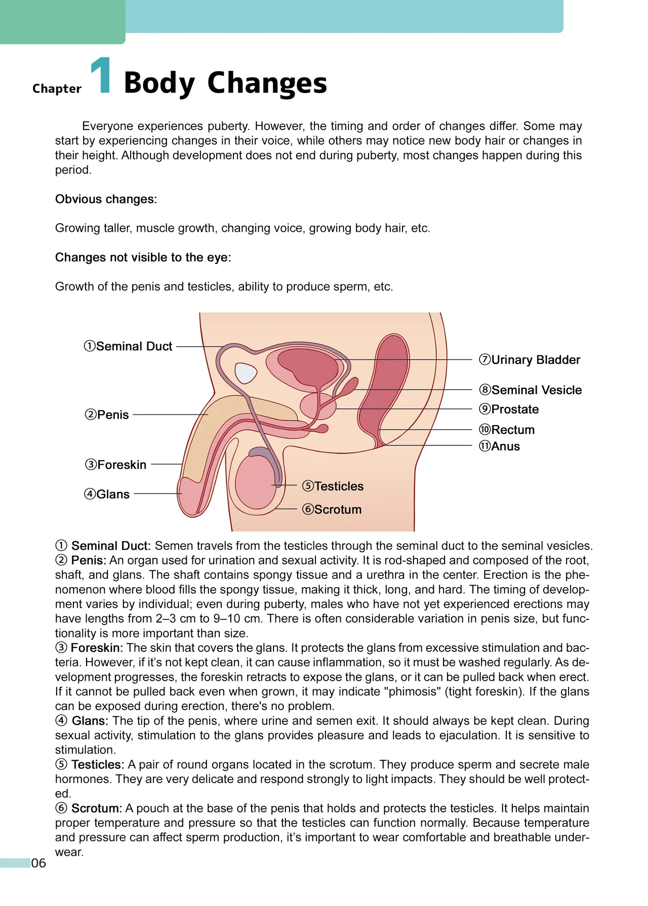 Erotic Sex Education For Boys page 7 full