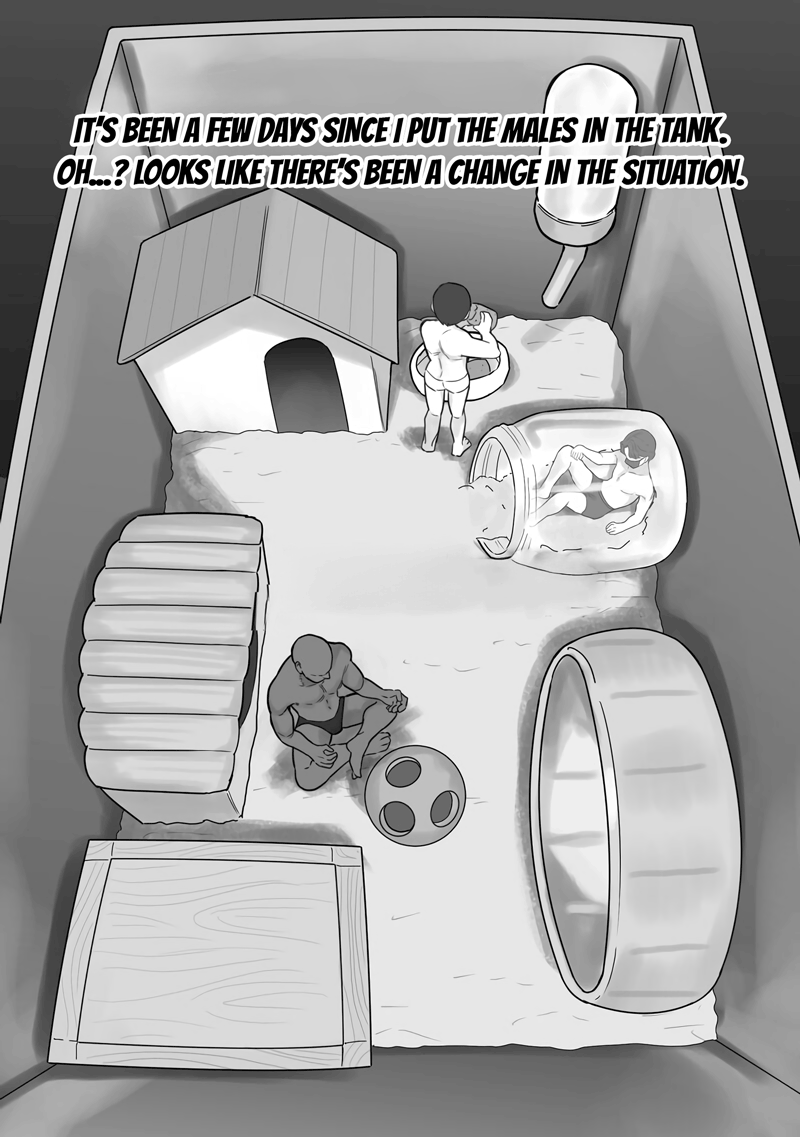 Couple no Suisou ni Iroiro na Osu o Irete Miyou page 10 full