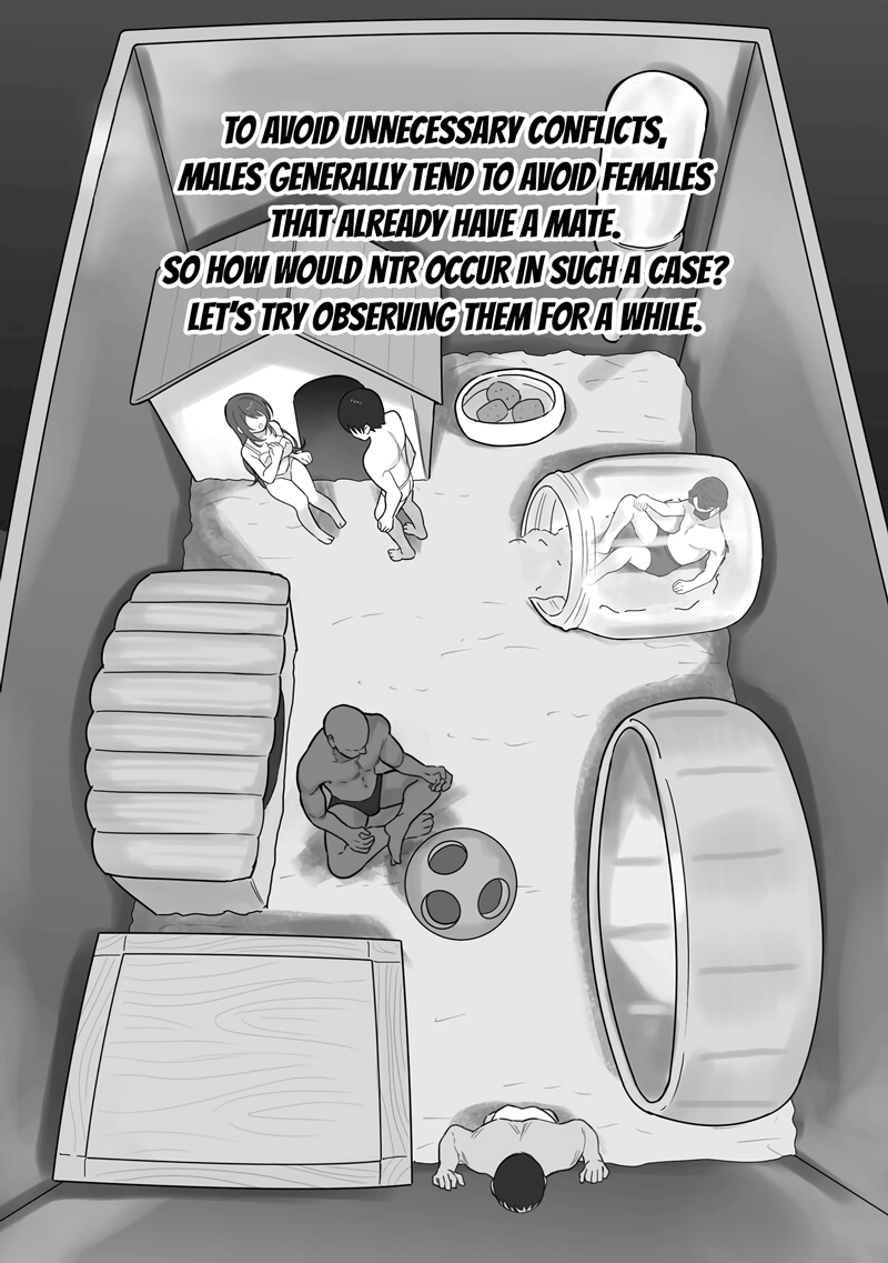 Couple no Suisou ni Iroiro na Osu o Irete Miyou page 8 full