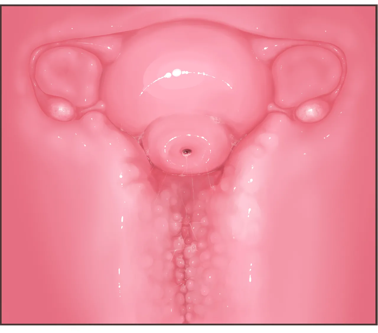 Futanari CG Collection Progress: Missionary Sex  + Cross-Section + Massive Ejaculation Summary page 4 full