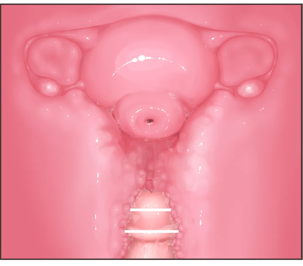 Futanari CG Collection Progress: Missionary Sex  + Cross-Section + Massive Ejaculation Summary page 6 full
