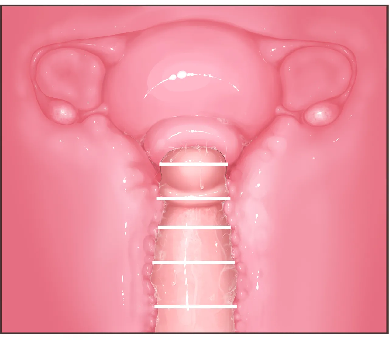 Futanari CG Collection Progress: Missionary Sex  + Cross-Section + Massive Ejaculation Summary page 8 full
