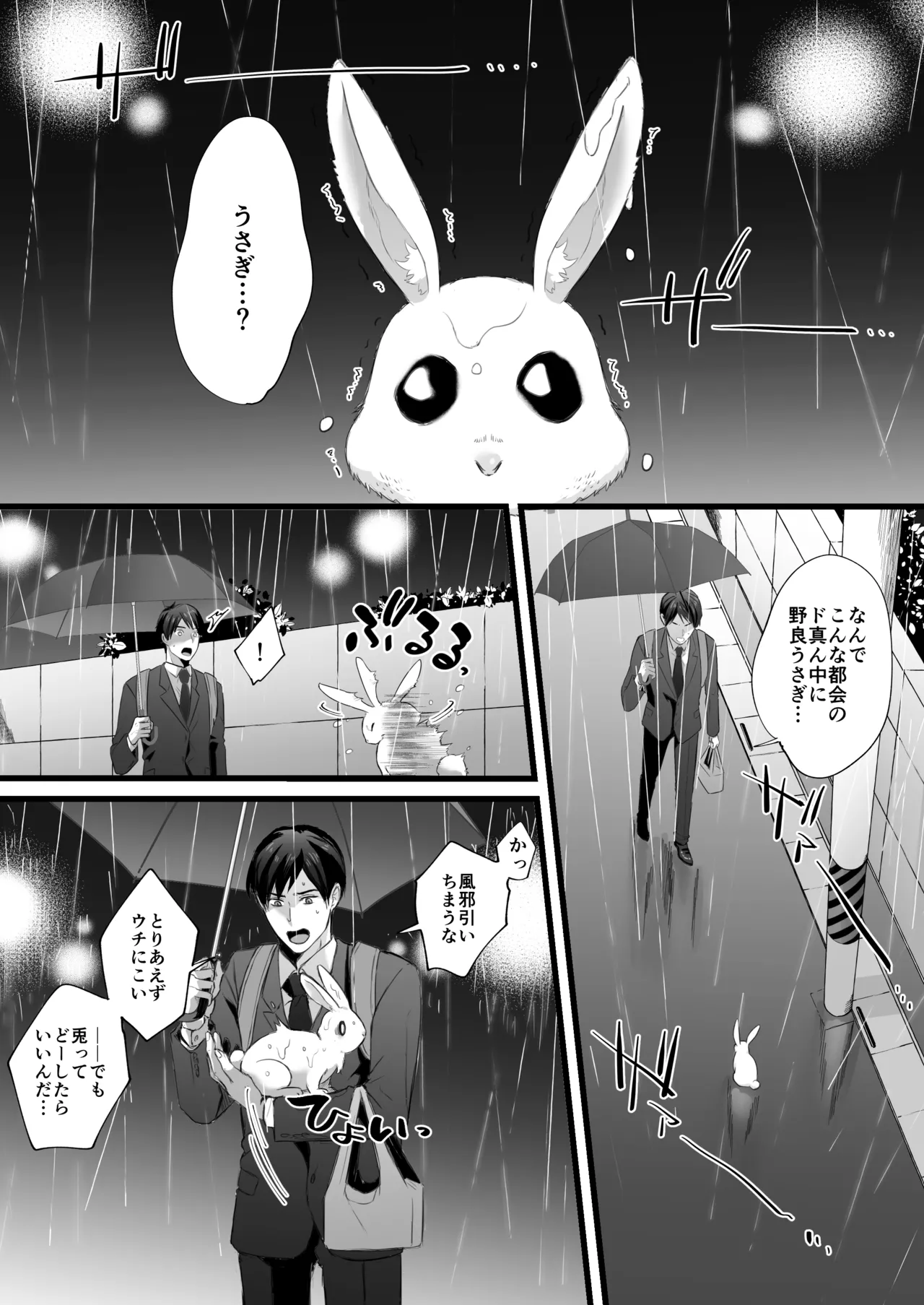 落し物は発情うさぎ page 2 full