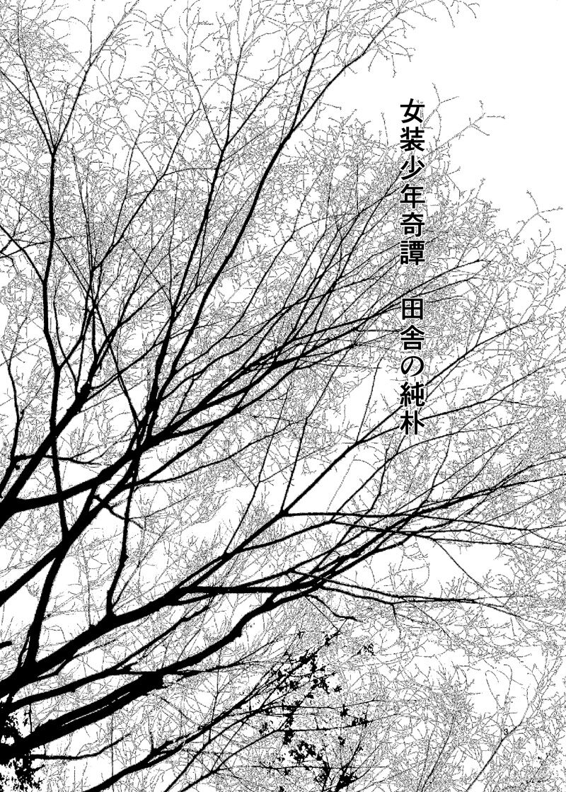 Kinbaku Josou Shounen Inaka page 2 full