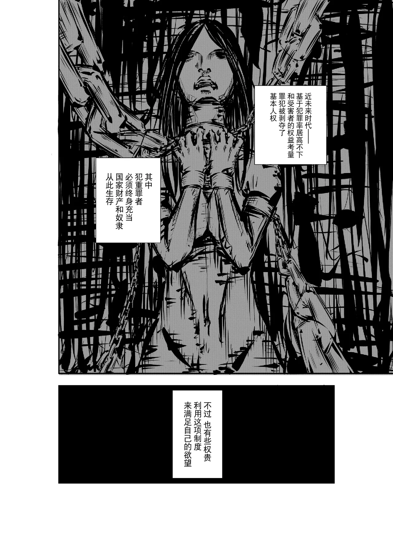 M.A.I.D.S System page 1 full