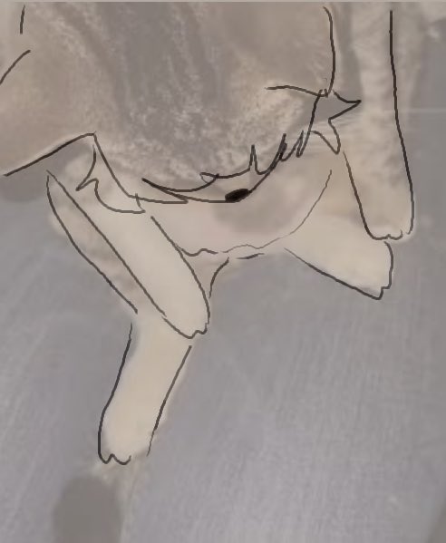 Lewdicrousart page 8 full