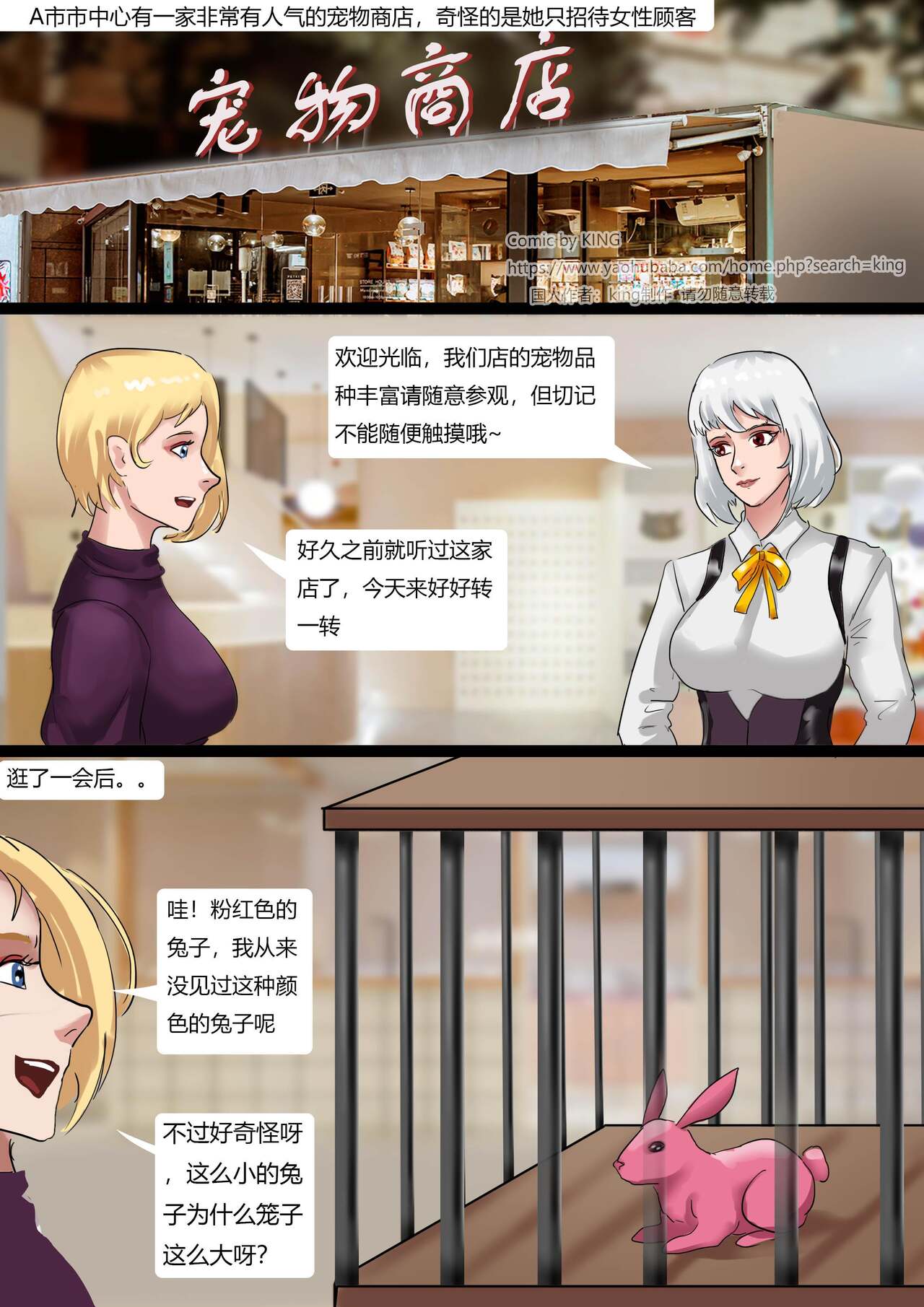 The Pet Shop page 2 full