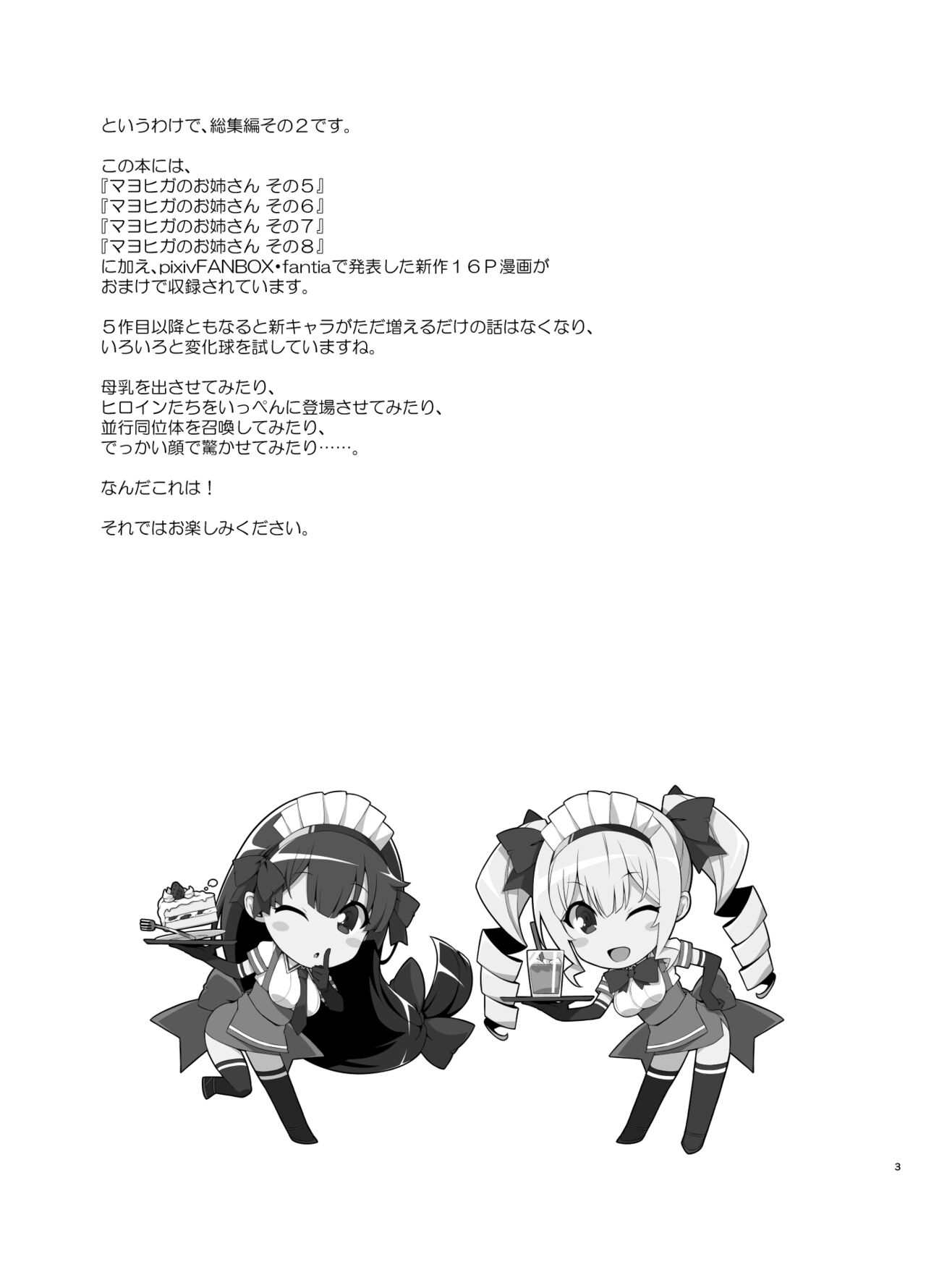 Mayoiga no Onee-san Soushuuhen II page 3 full