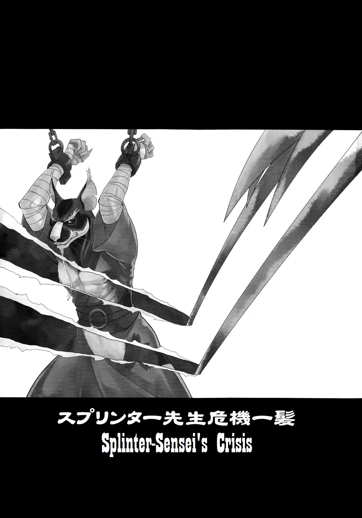 Splinter Sensei Kikiippatsu | Splinter Sensei's Crisis page 3 full