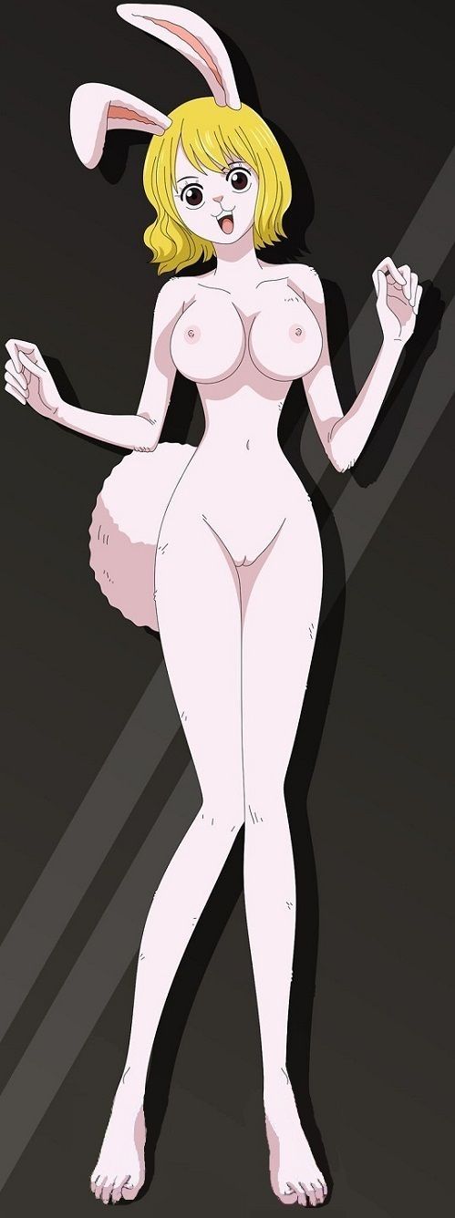 one piece fav page 9 full