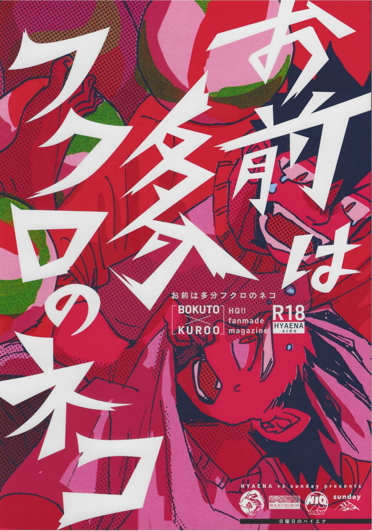 「Hyaena、Sunday」Maybe You Are The Cat In The Paper Bag | 你大概是纸袋里的猫 page 1 full