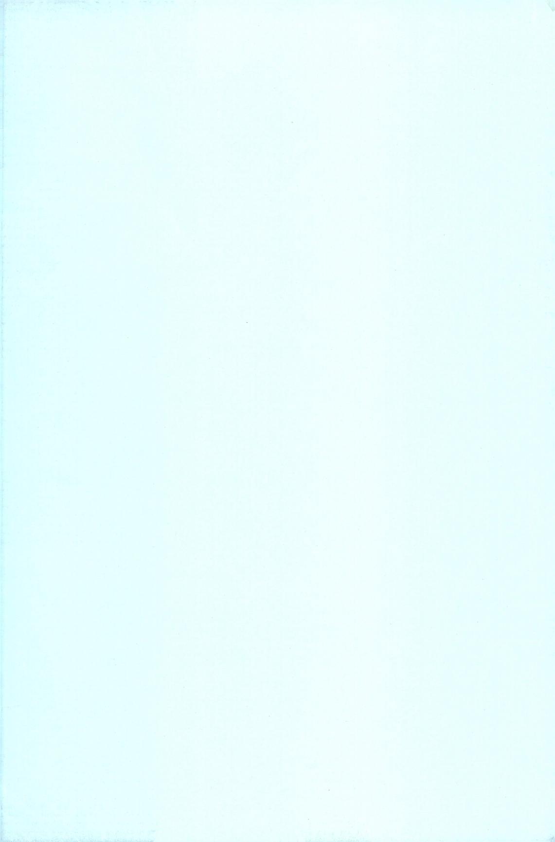 暴風注意報 page 3 full