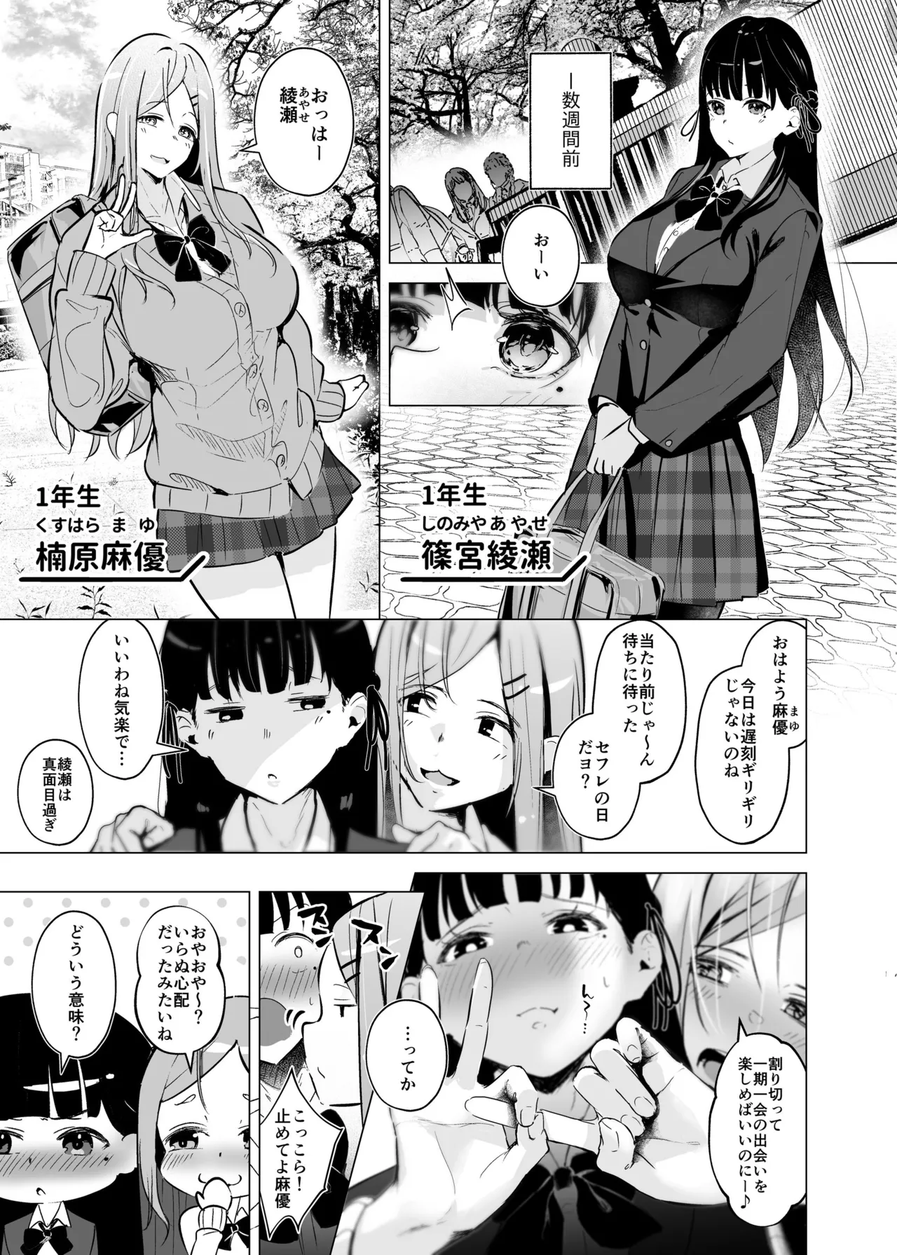 少子化対策で巨乳JKはセフレが必修科目です♪ page 4 full