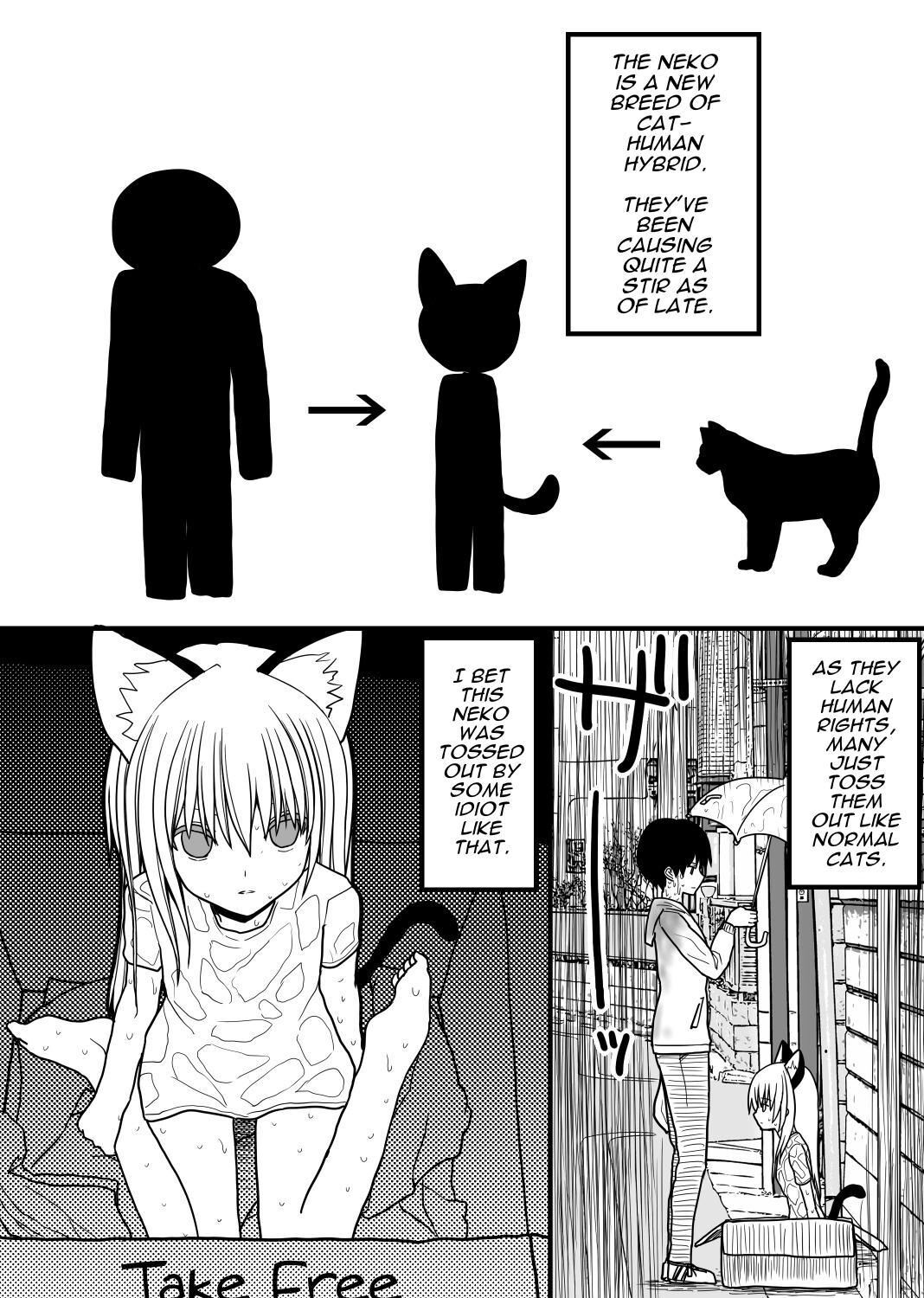Hito neko no kaikata ～Hatsujo-ki-hen～ | How To Raise A Humancat ~Mating Season Edition~ page 2 full