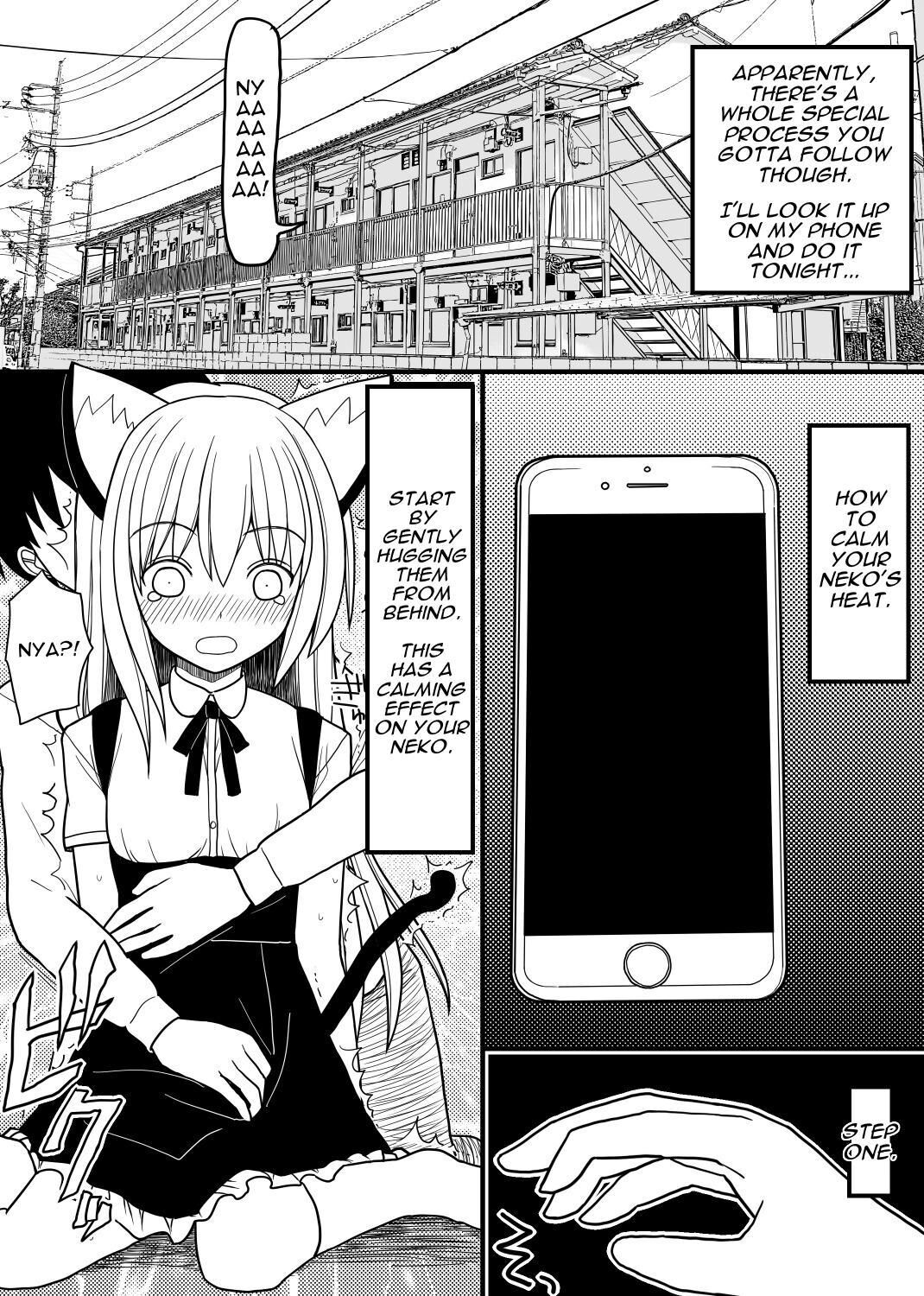 Hito neko no kaikata ～Hatsujo-ki-hen～ | How To Raise A Humancat ~Mating Season Edition~ page 8 full