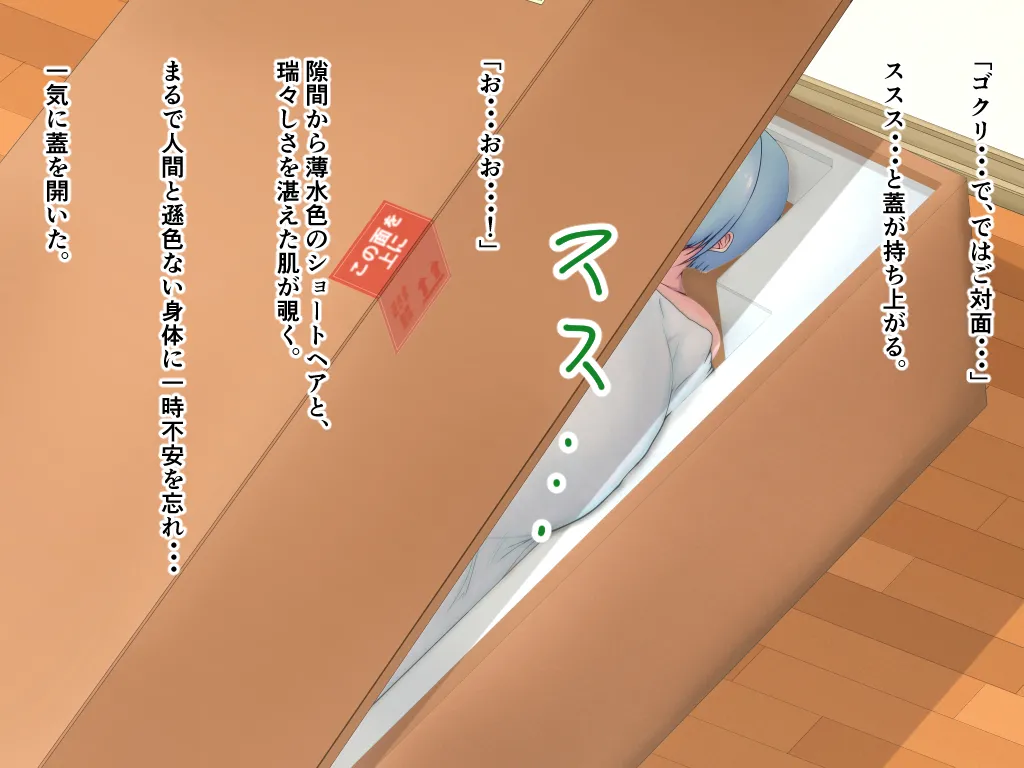 「ワケあり」格安セクサロイドを衝動買いしたら、 超乳○リ少女が届いた。 page 5 full