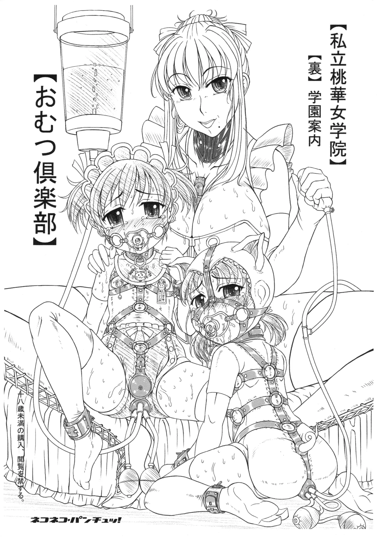 Shiritsu Tooka Jogakuin Ura Gakkō Annai Omutsu Kurabu page 1 full