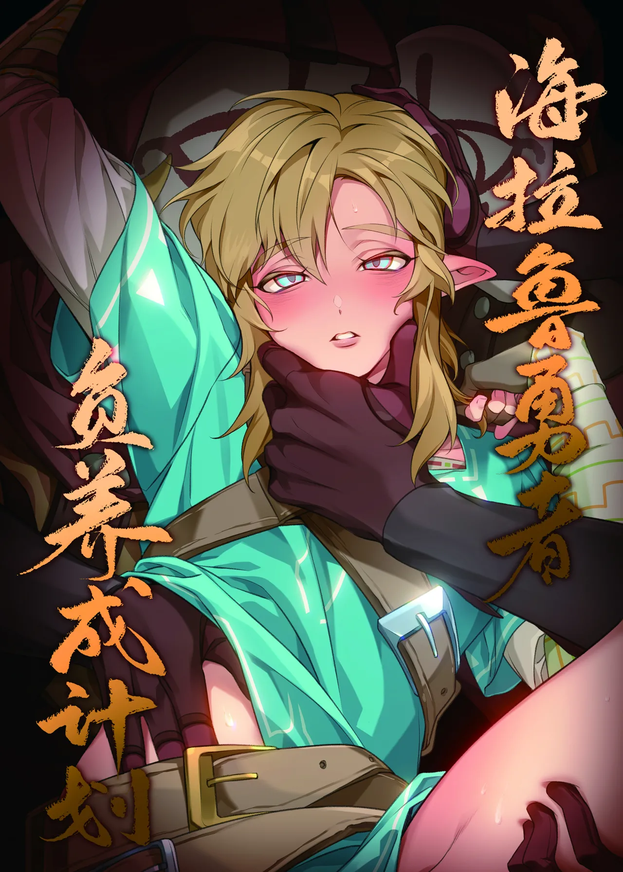 Hyrule Hero Development Plan "Jou" page 1 full