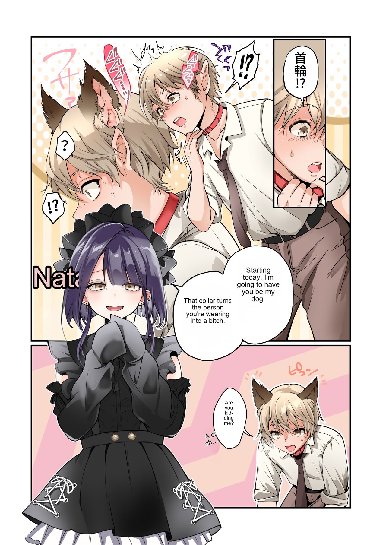 Female dog collar page 4 full