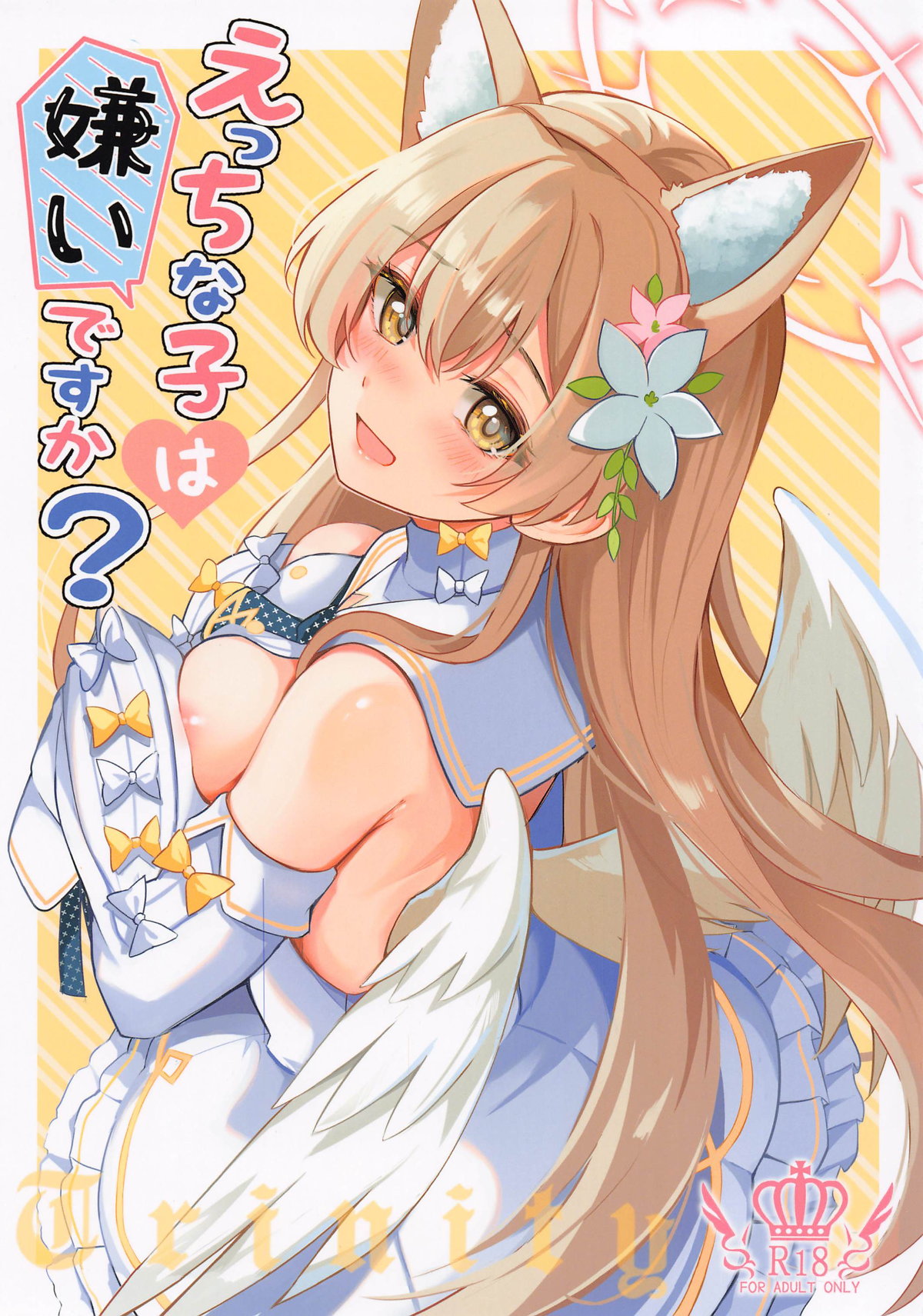 Ecchi na Ko wa Kirai desu ka? page 1 full