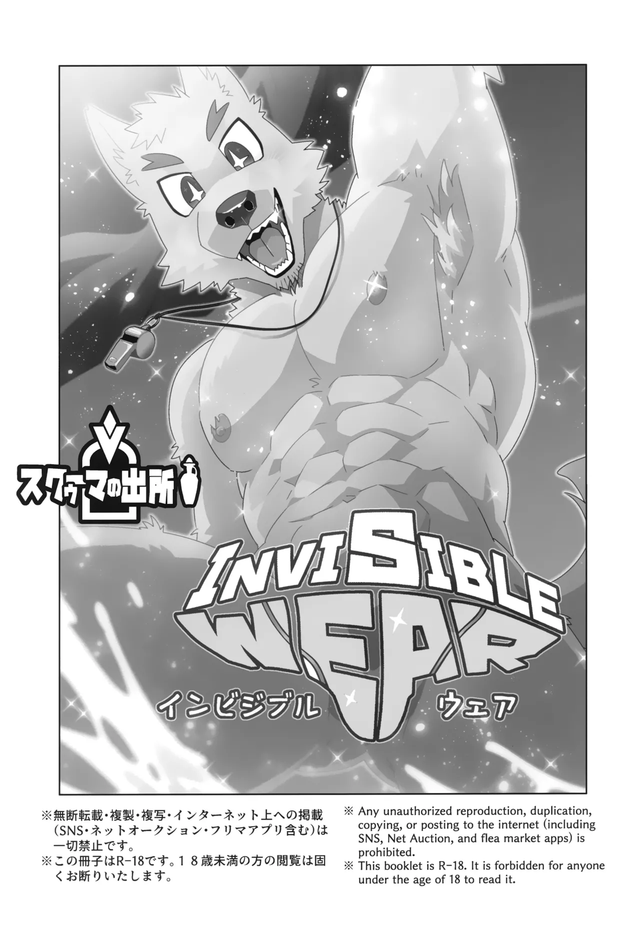 Invisible Wear page 3 full