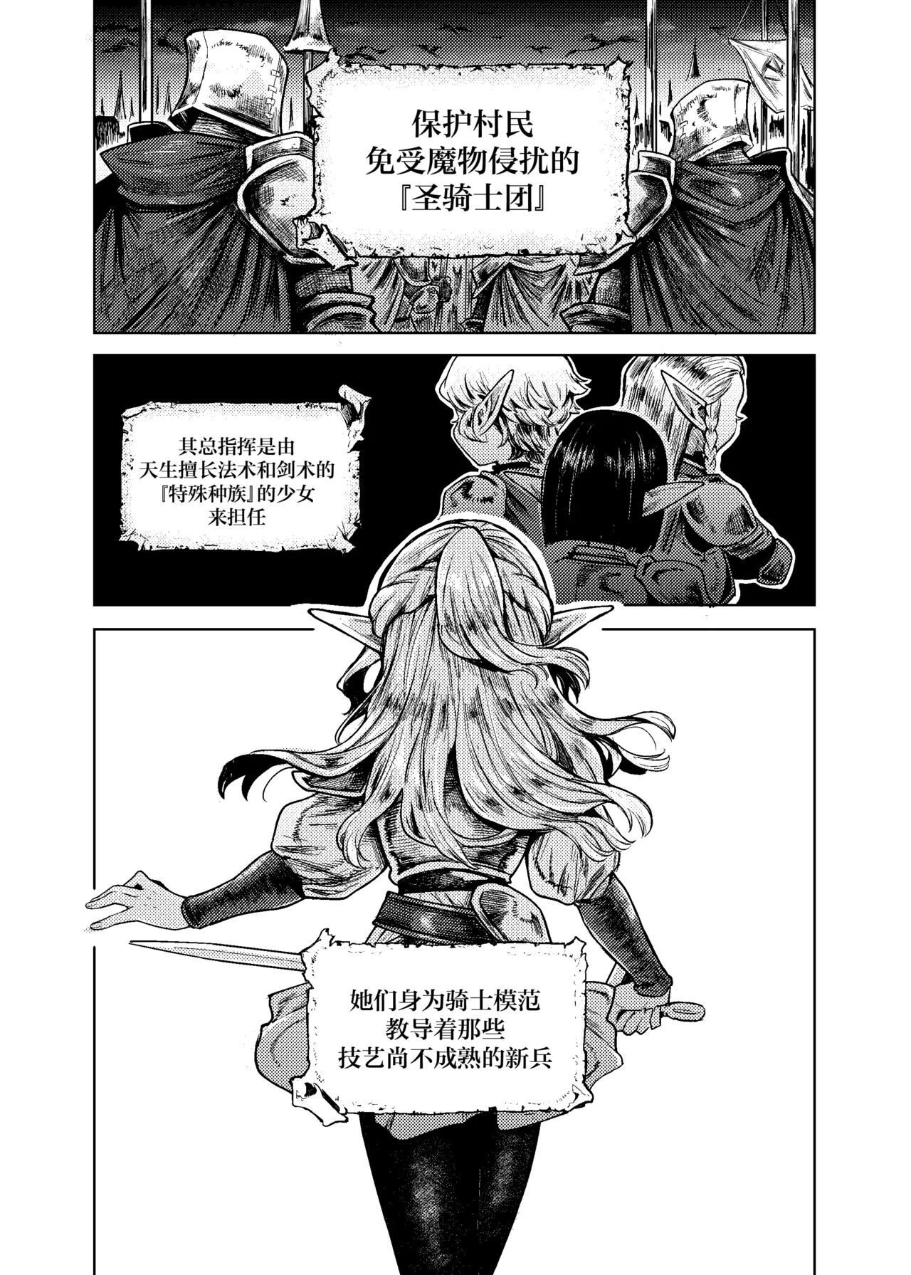 Seikishi Danchou-sama wa Injutsu no Chiryou no Tame ni Shoukan e Ikimashita | 为治疗淫乱诅咒而前往娼馆的圣骑士团团长 page 2 full