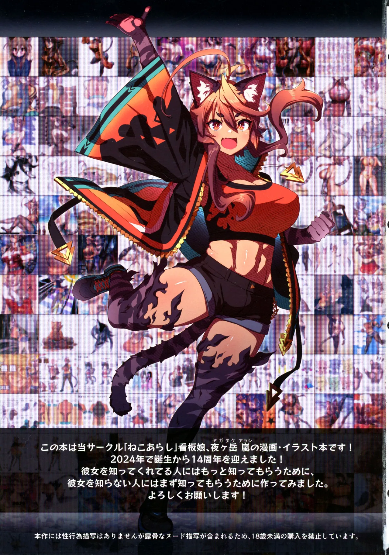 Hare, Tokidoki Arashi page 3 full