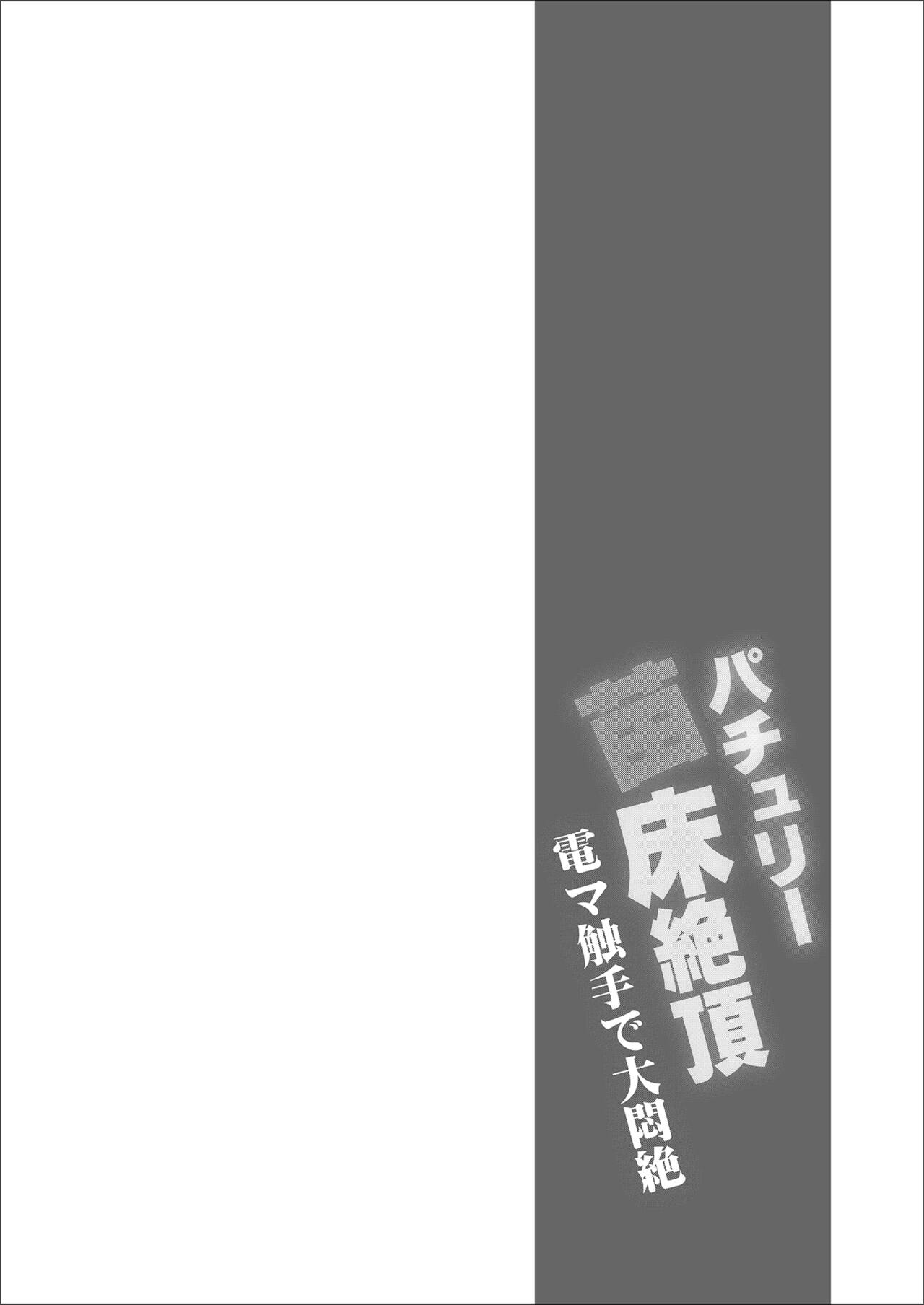 Patchouli Naedoko Zecchou Denma Shokushu de Daimonzetsu page 3 full